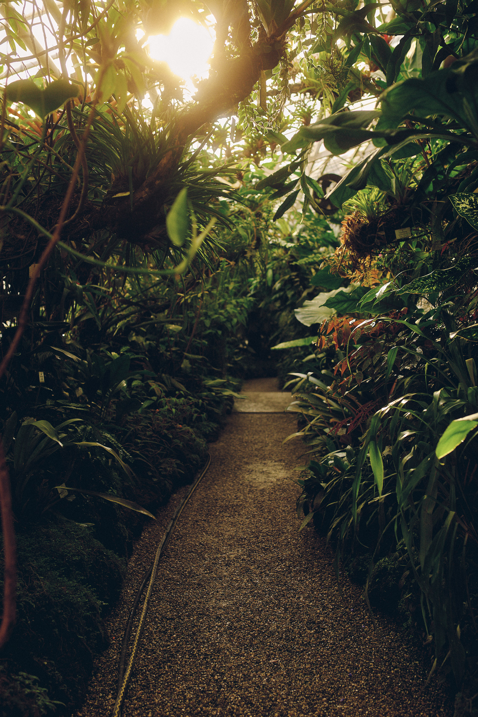 Botanischer Garten München-Nymphenburg