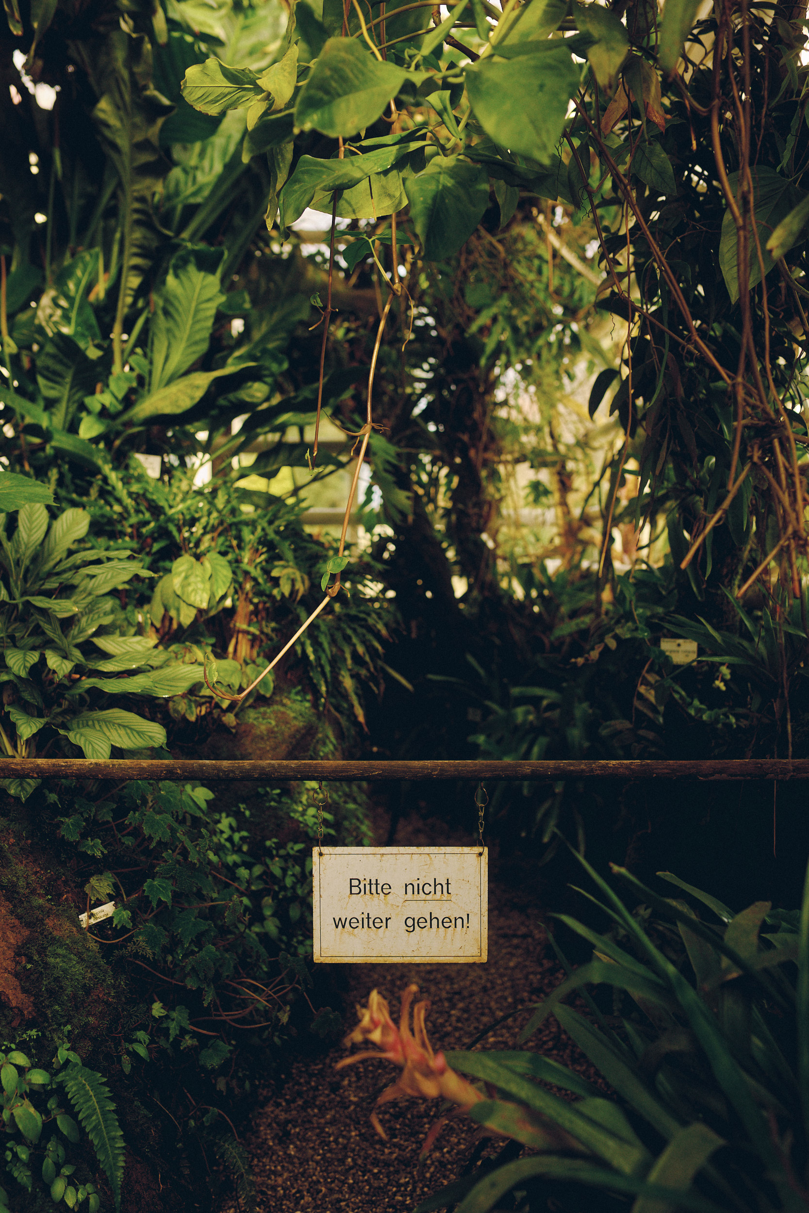 Botanischer Garten München-Nymphenburg