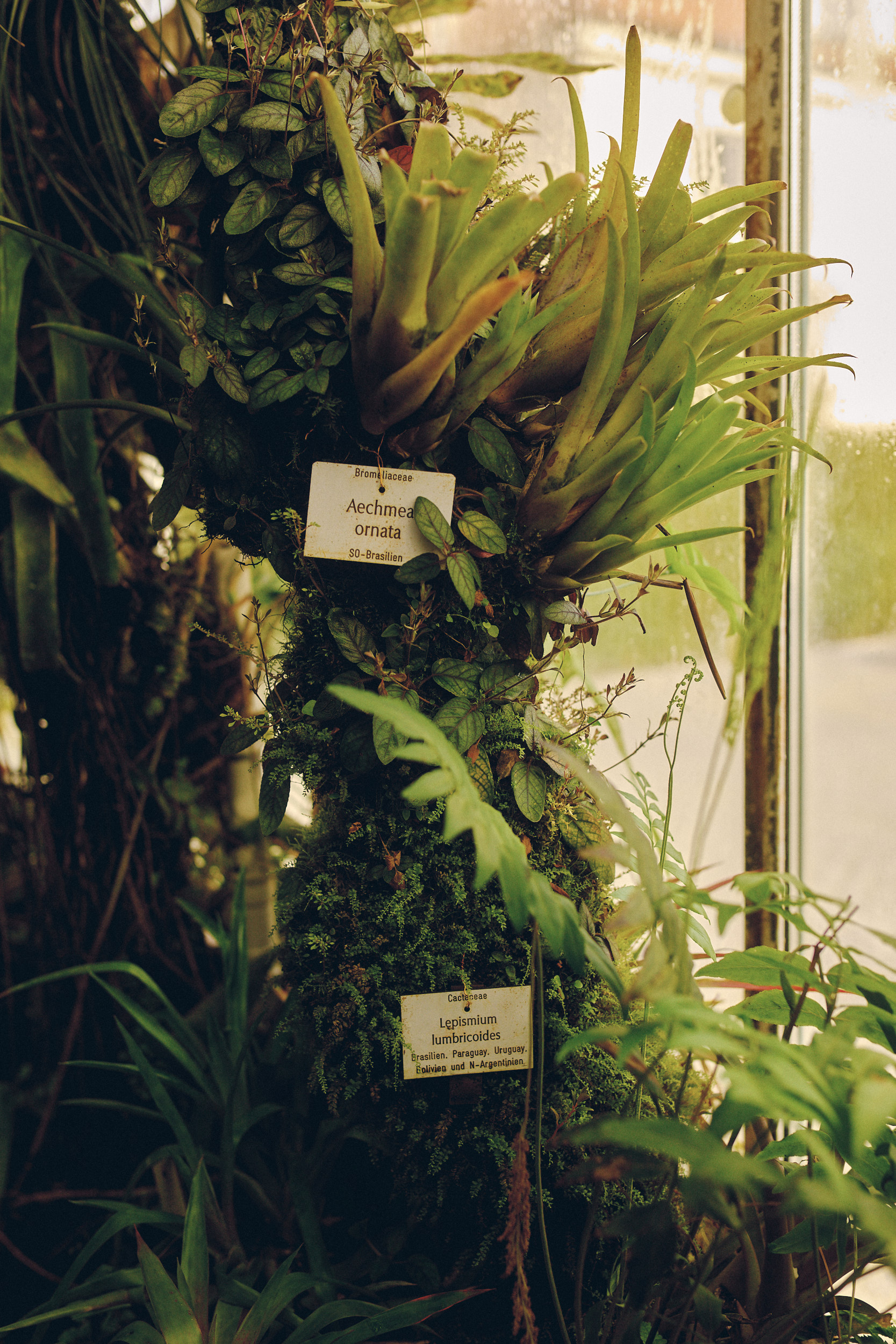 Botanischer Garten München-Nymphenburg