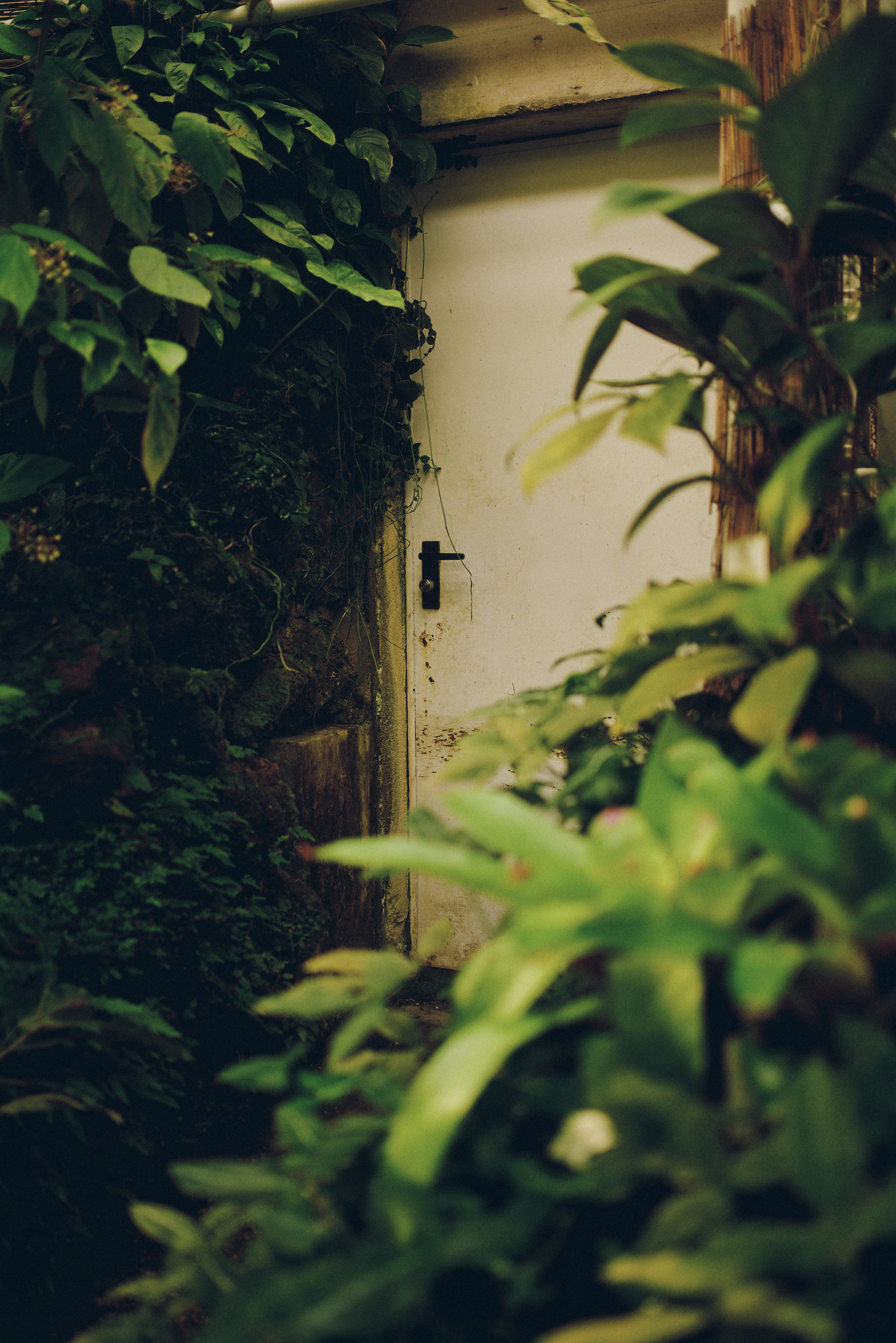 Botanischer Garten München-Nymphenburg