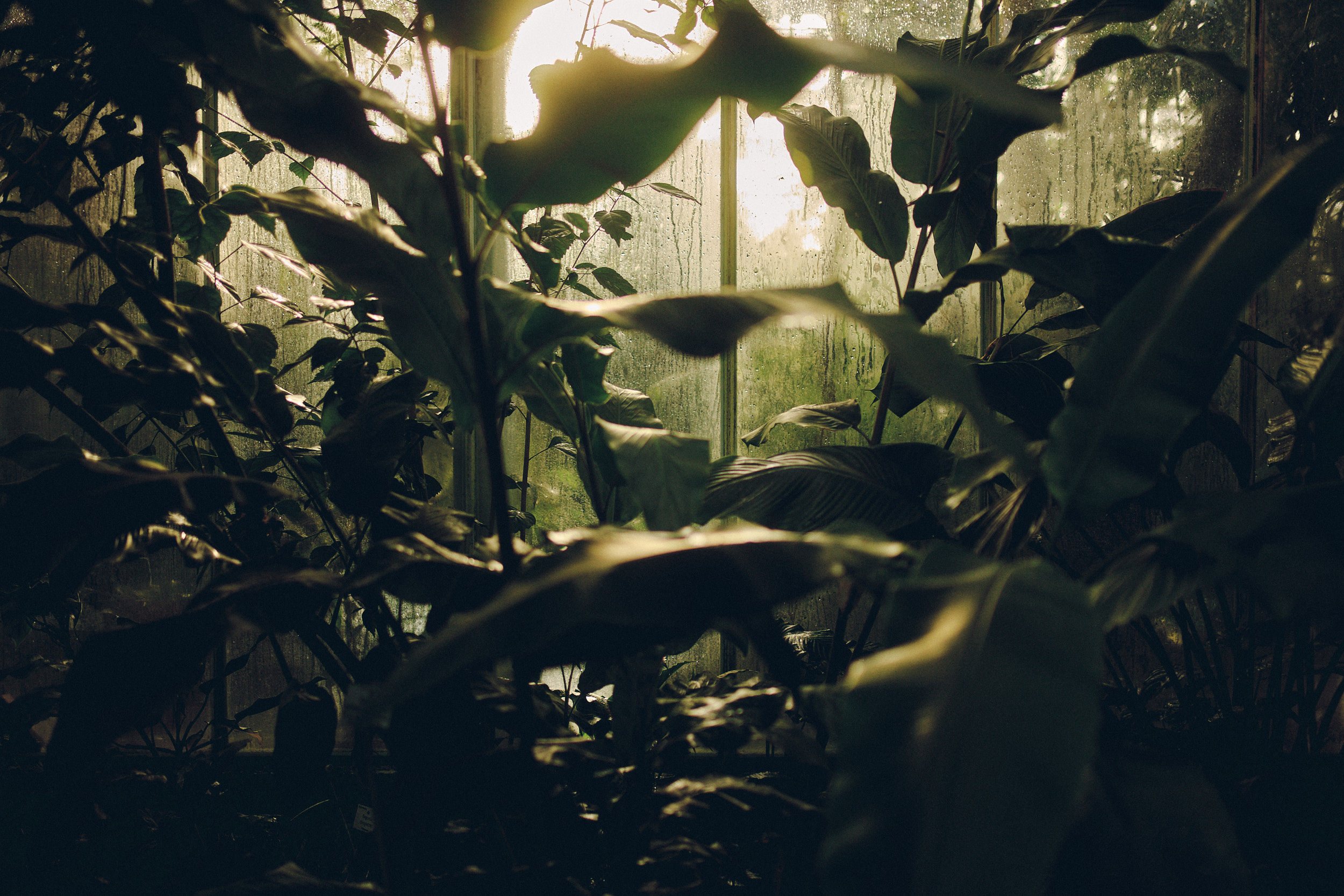 Botanischer Garten München-Nymphenburg