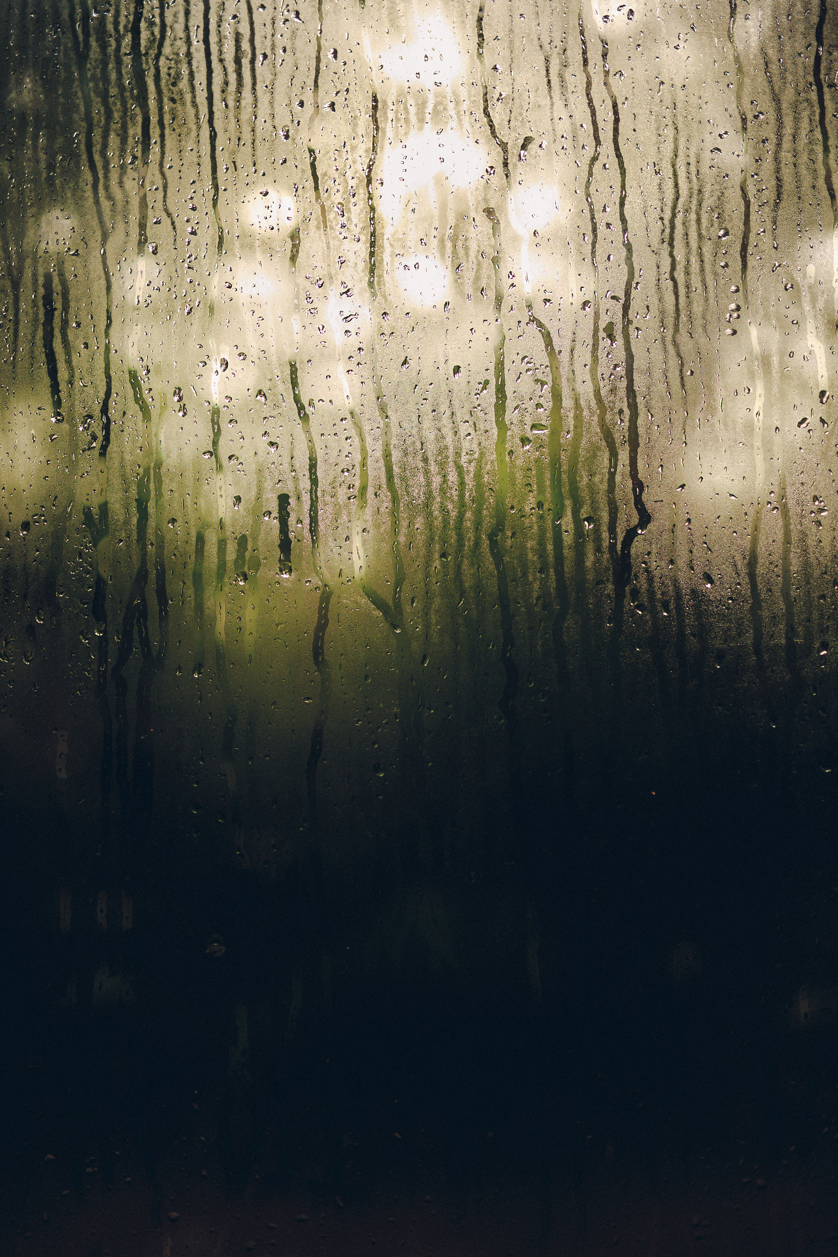 Botanischer Garten München-Nymphenburg