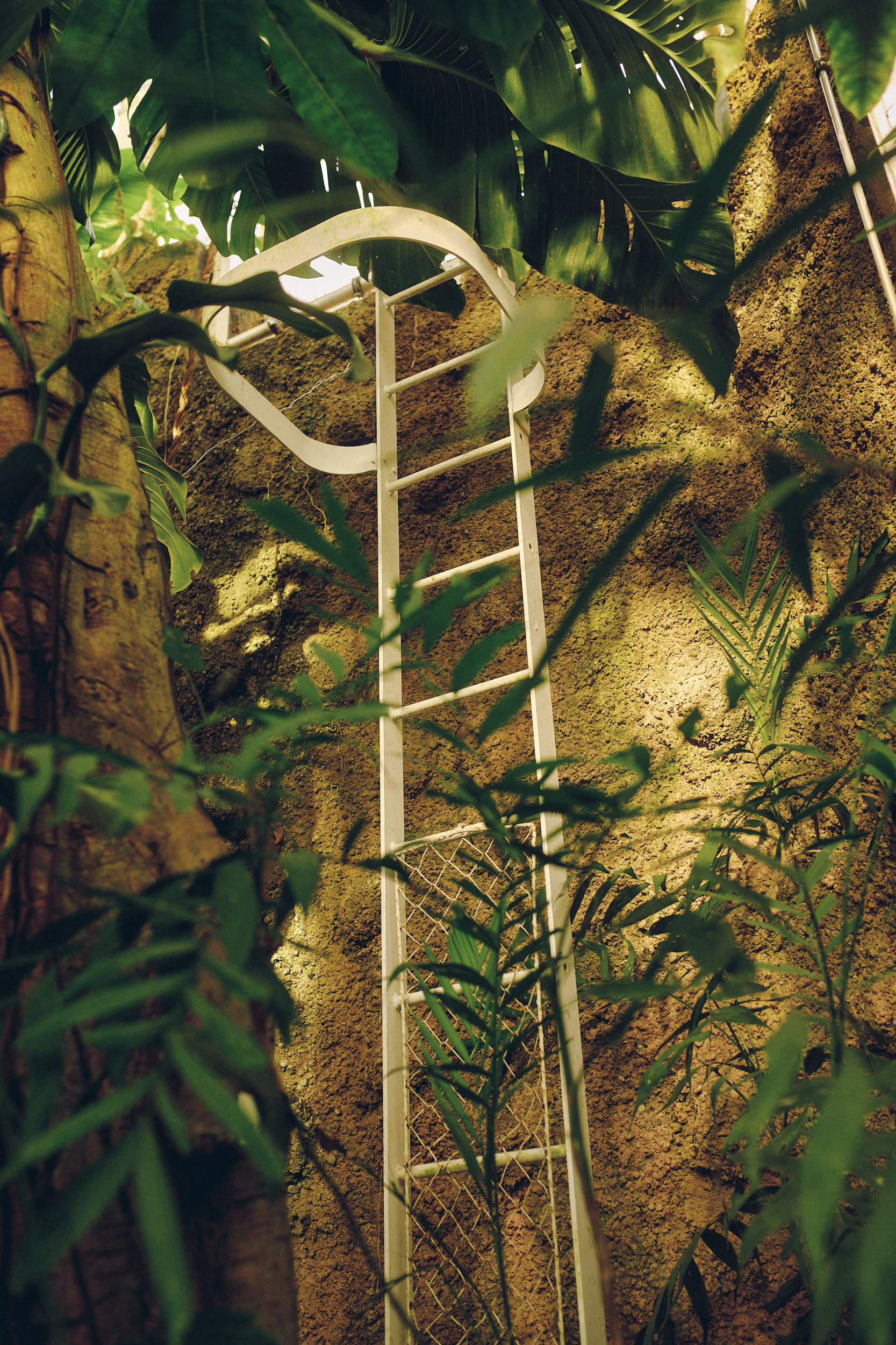 Botanischer Garten München-Nymphenburg