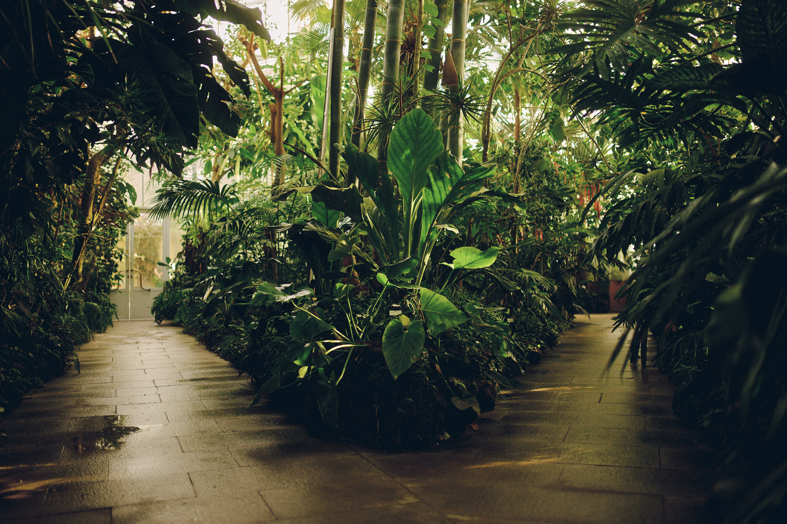 Botanischer Garten München-Nymphenburg