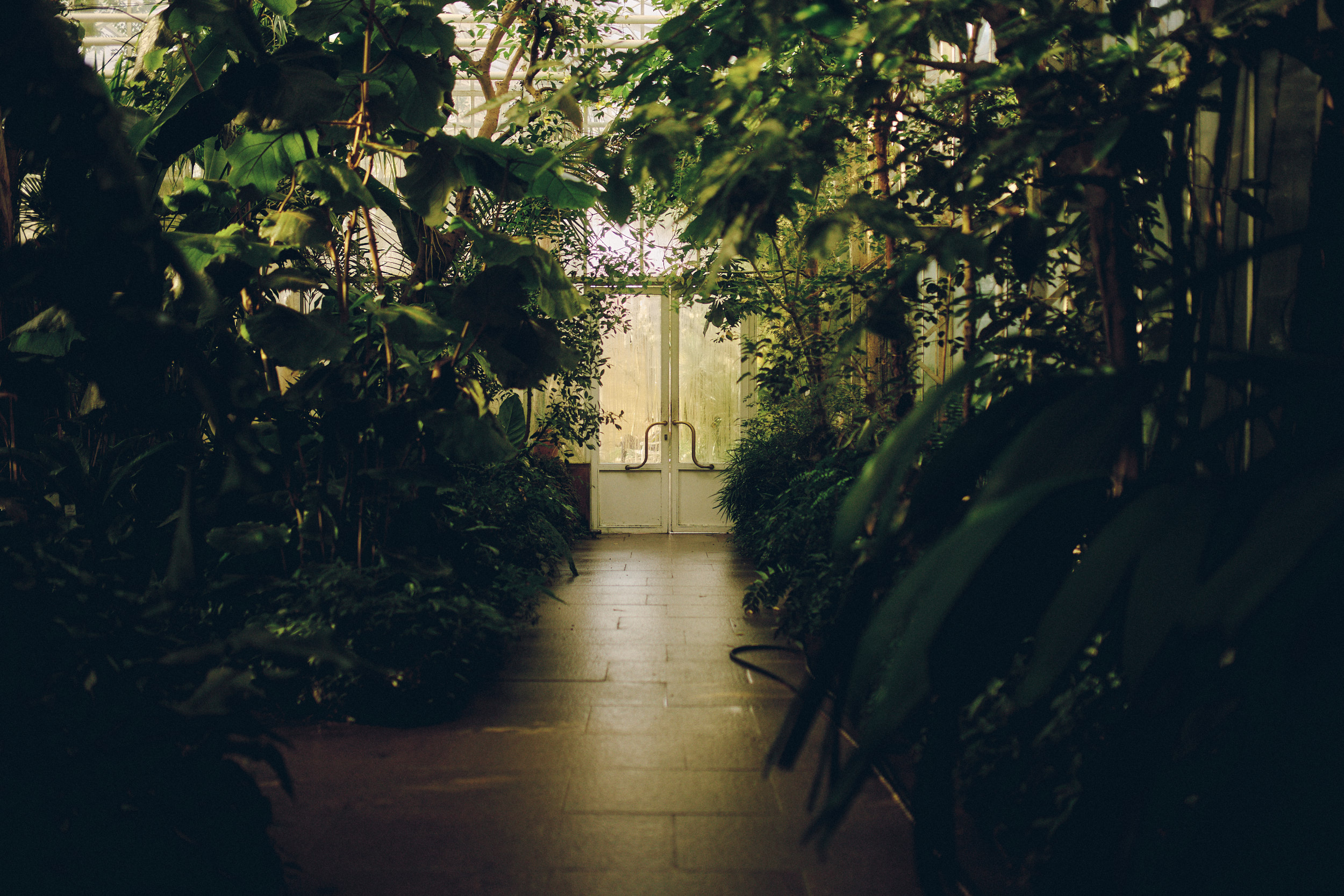 Botanischer Garten München-Nymphenburg