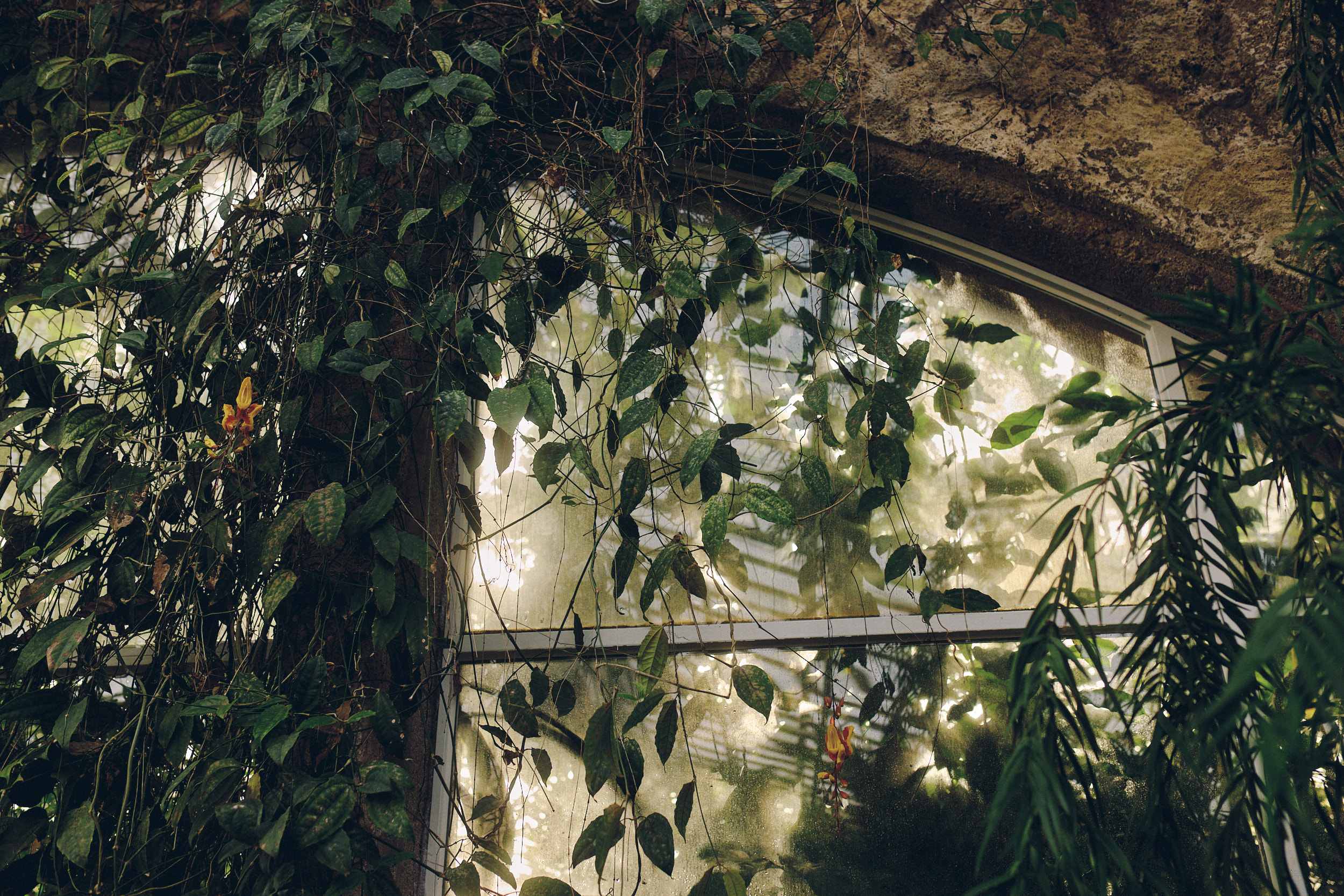 Botanischer Garten München-Nymphenburg