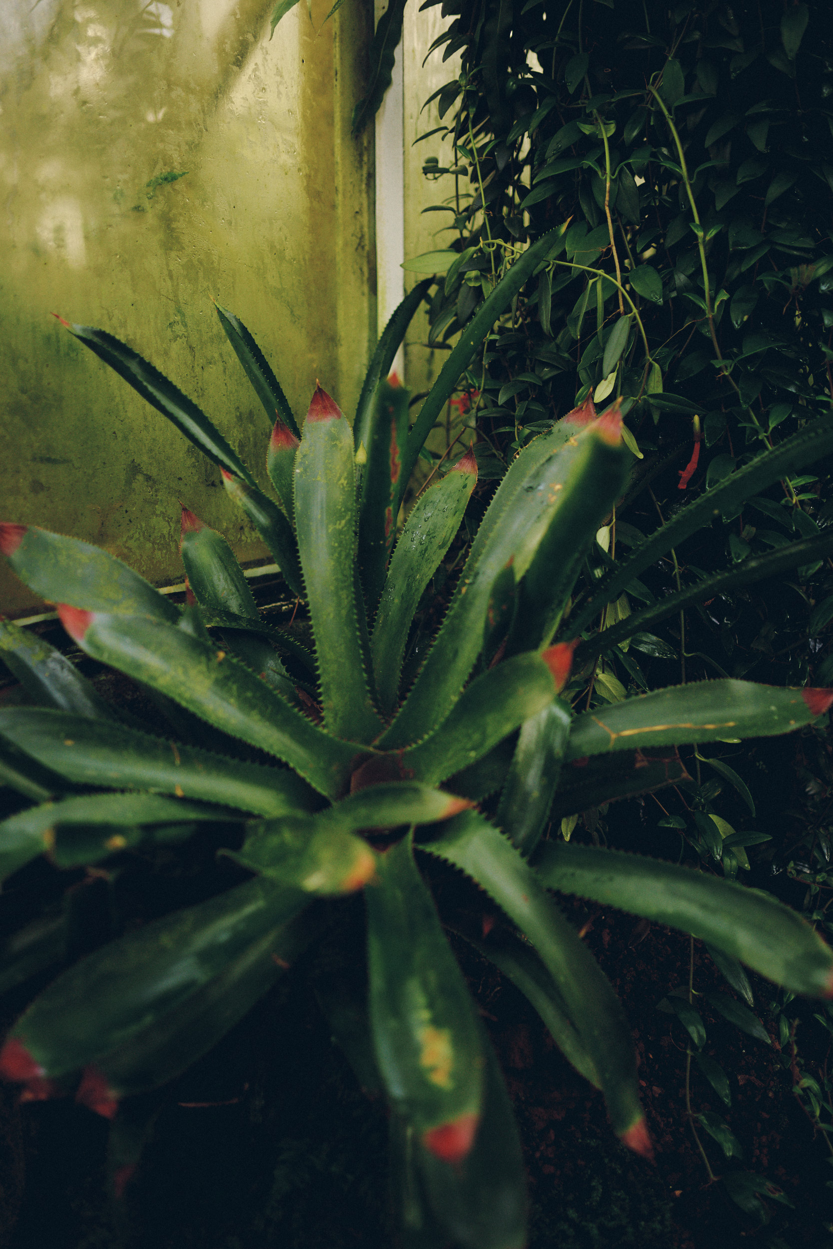 Botanischer Garten München-Nymphenburg