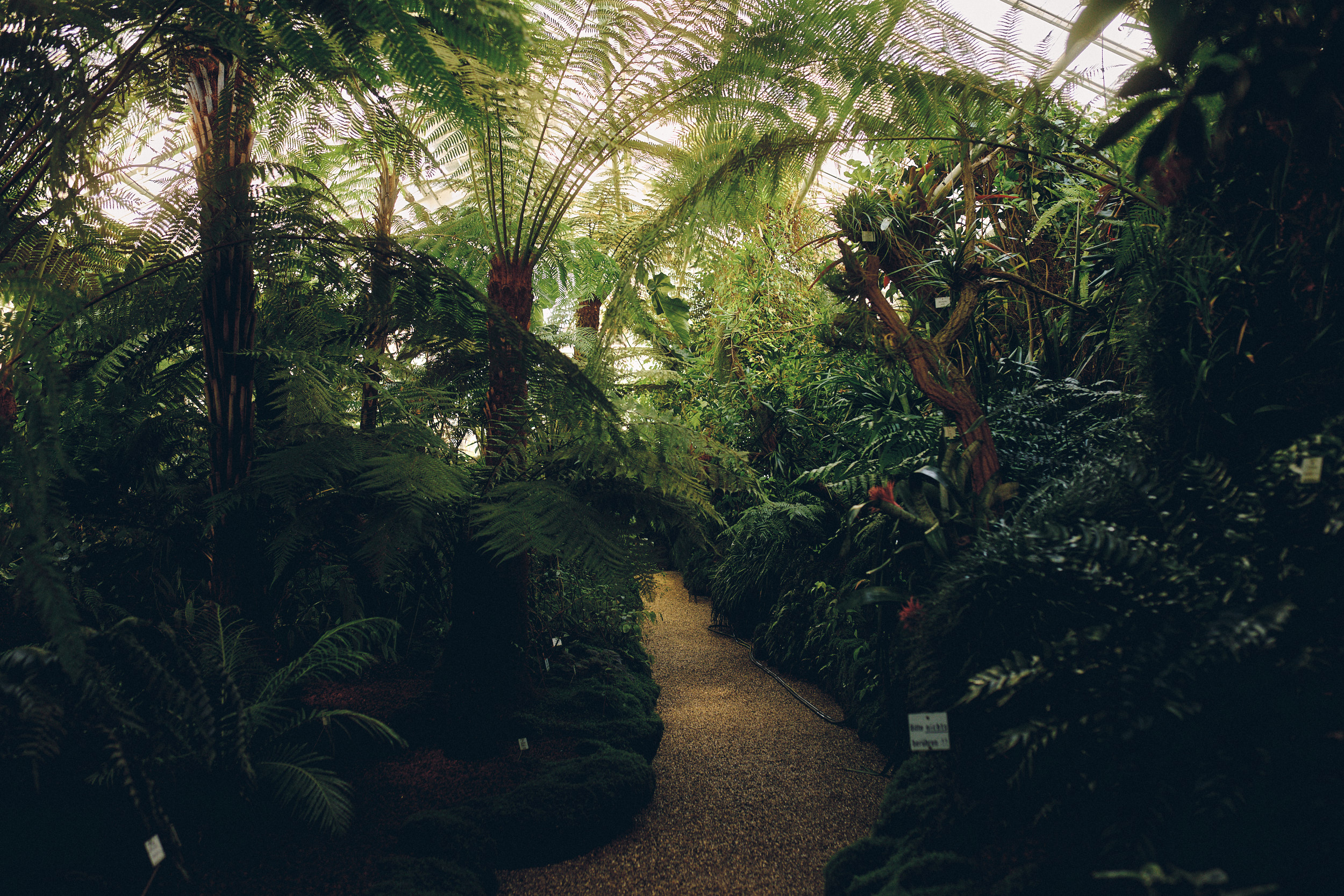Botanischer Garten München-Nymphenburg