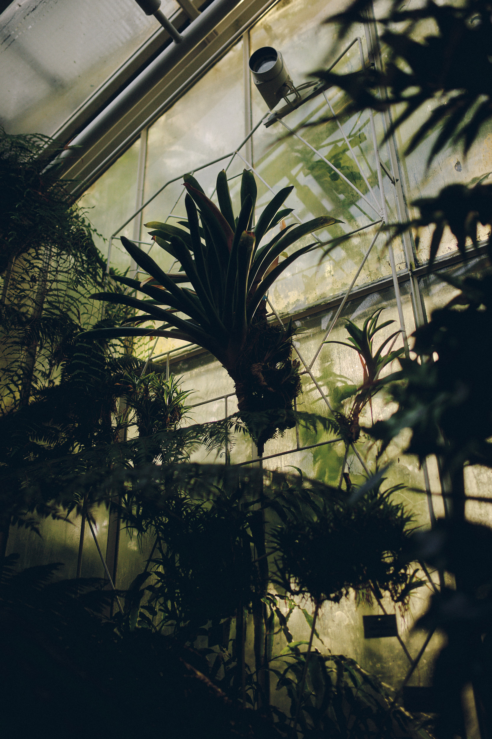 Botanischer Garten München-Nymphenburg