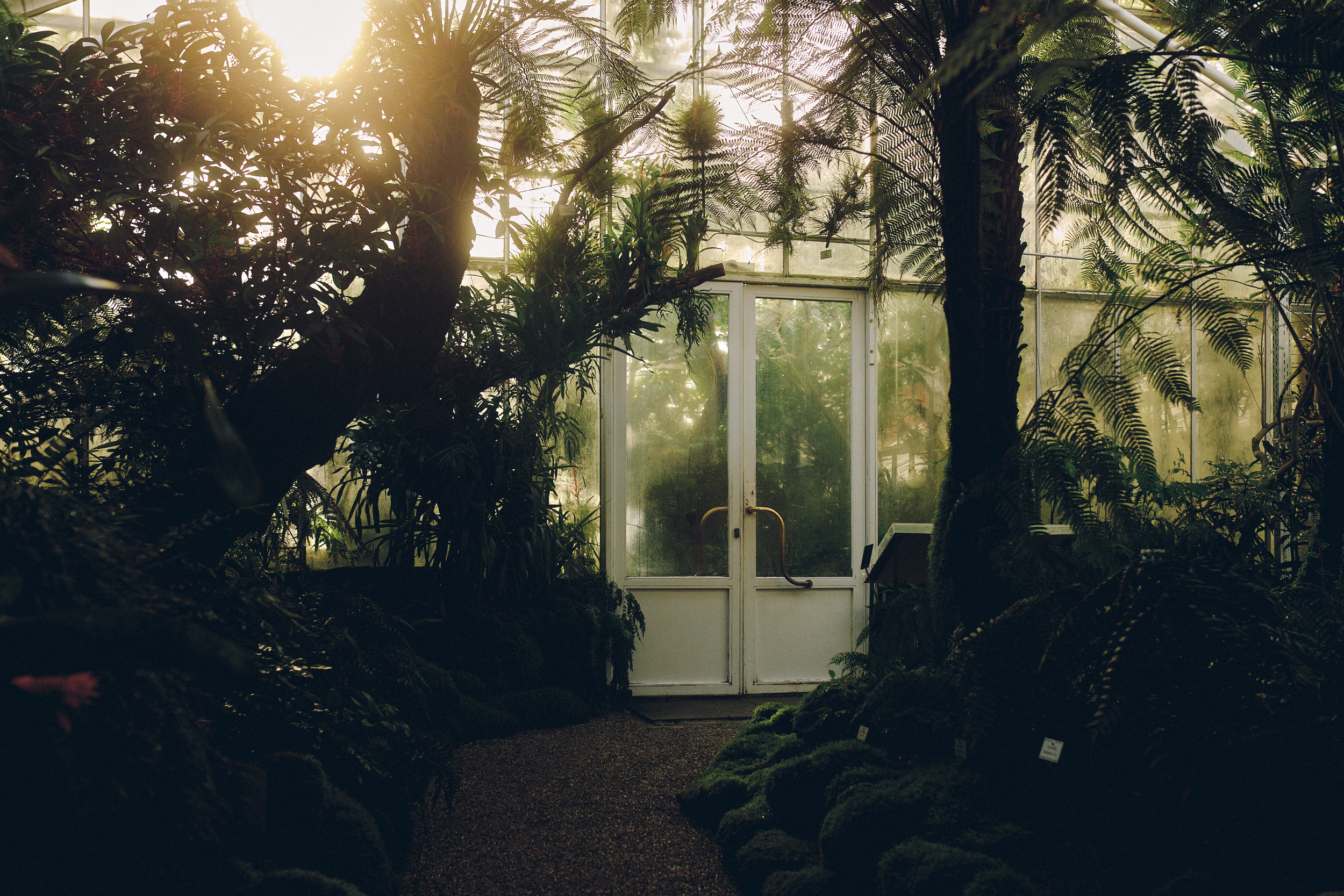 Botanischer Garten München-Nymphenburg