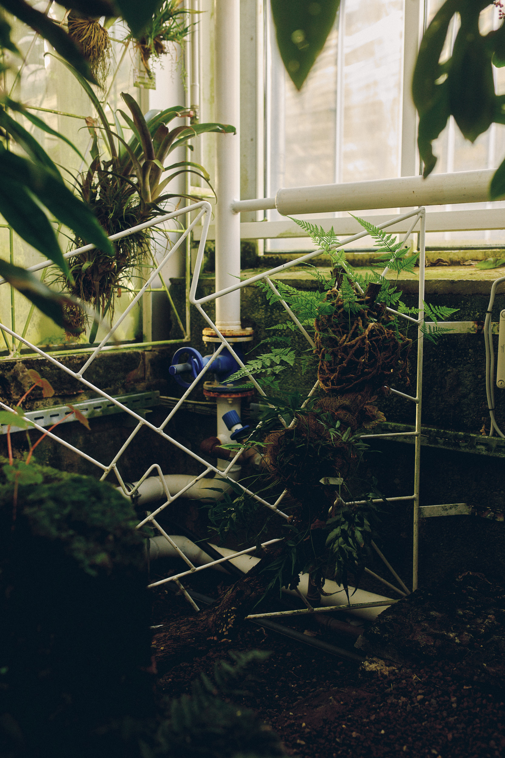 Botanischer Garten München-Nymphenburg