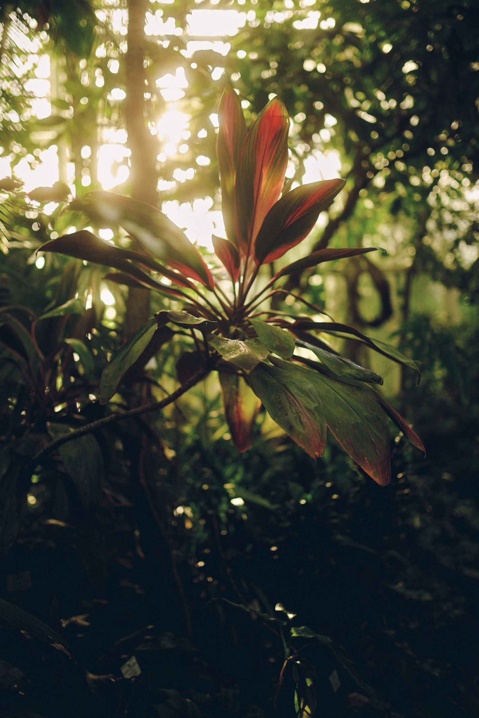 Botanischer Garten München-Nymphenburg