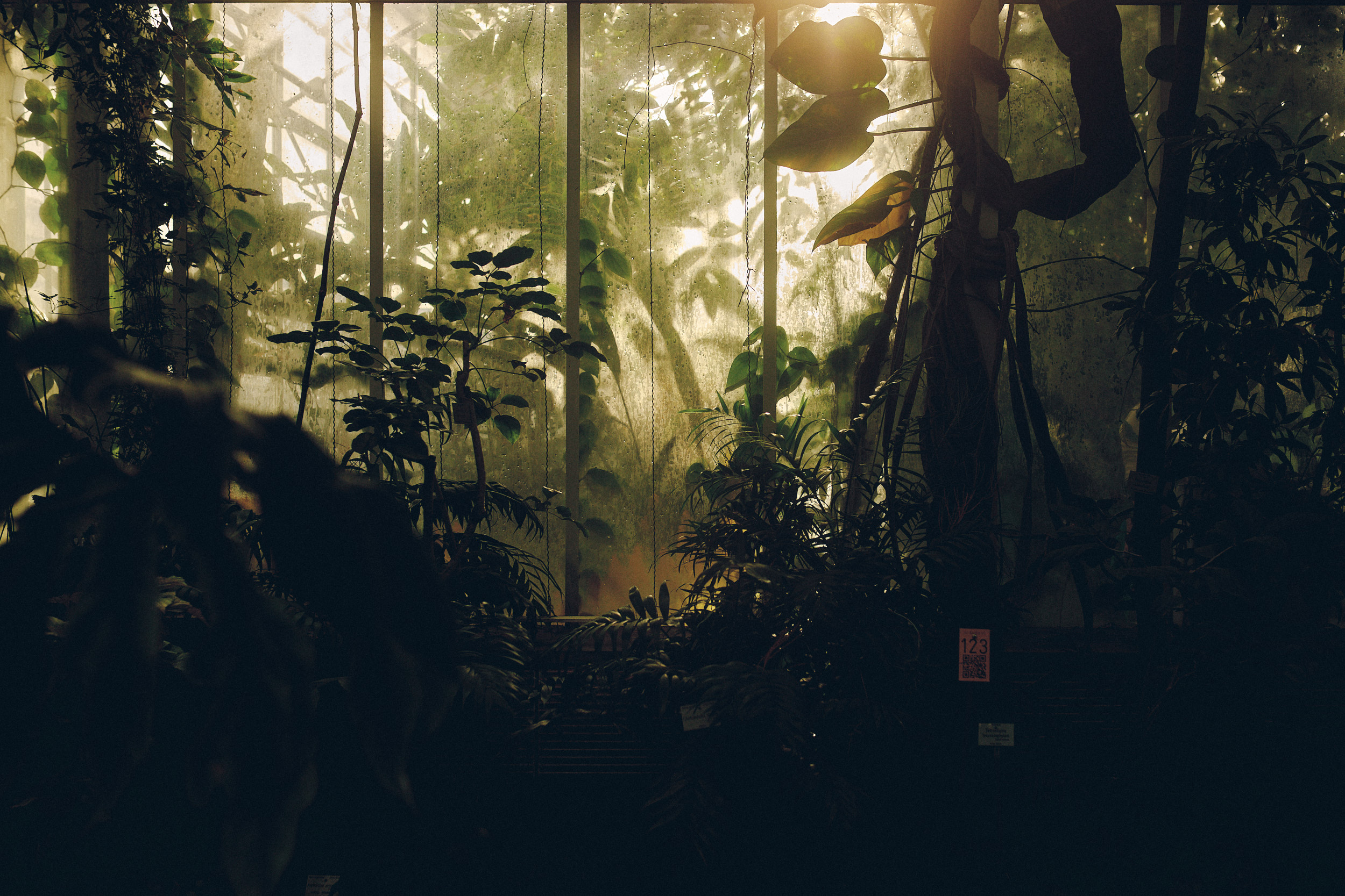 Botanischer Garten München-Nymphenburg