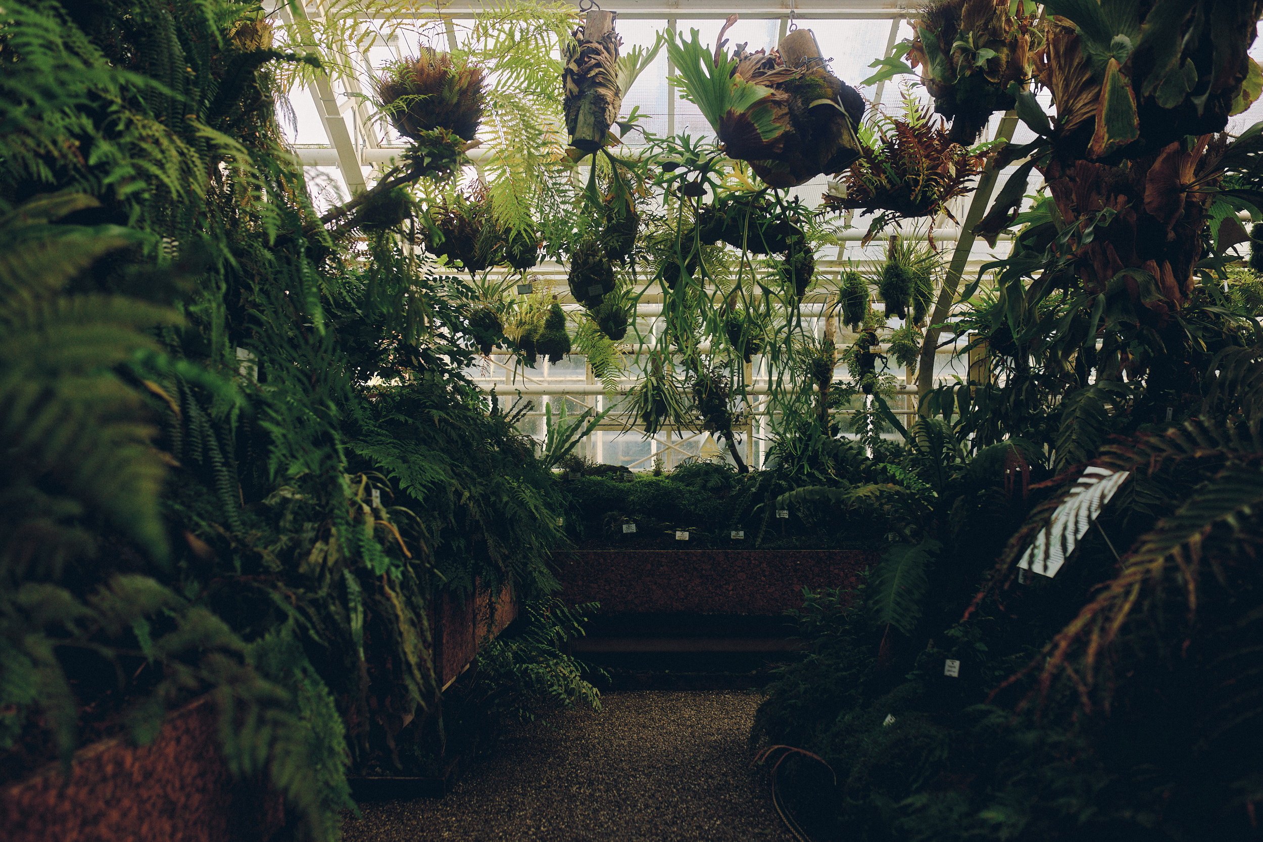 Botanischer Garten München-Nymphenburg