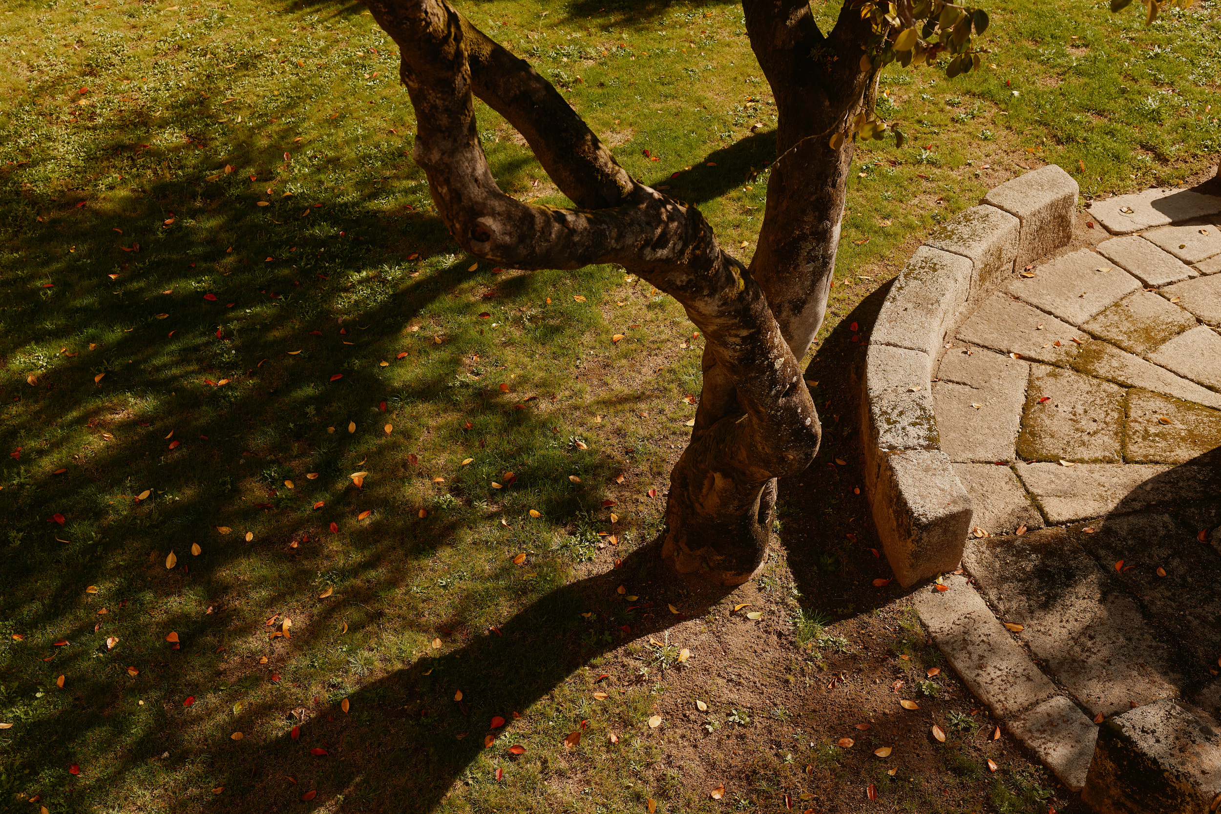 Moderne Klosterarchitektur in Portugal – Fotografie von David Altrath