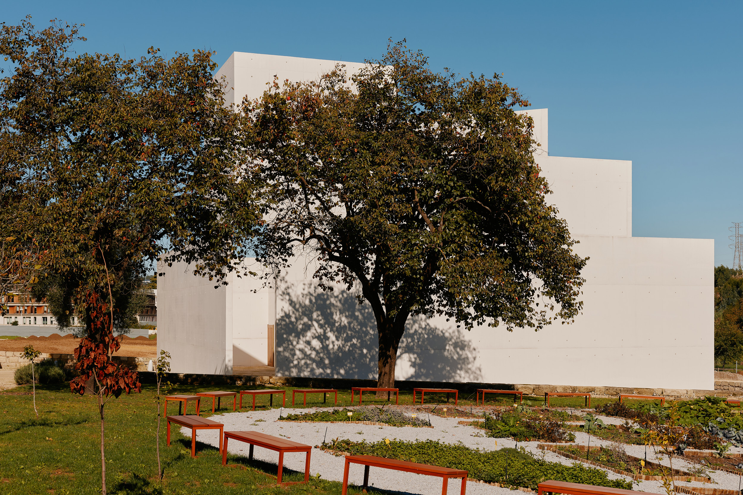 Architekturaufnahme von David Altrath – Innenhof der Erweiterung Leça do Balio in natürlichem Licht