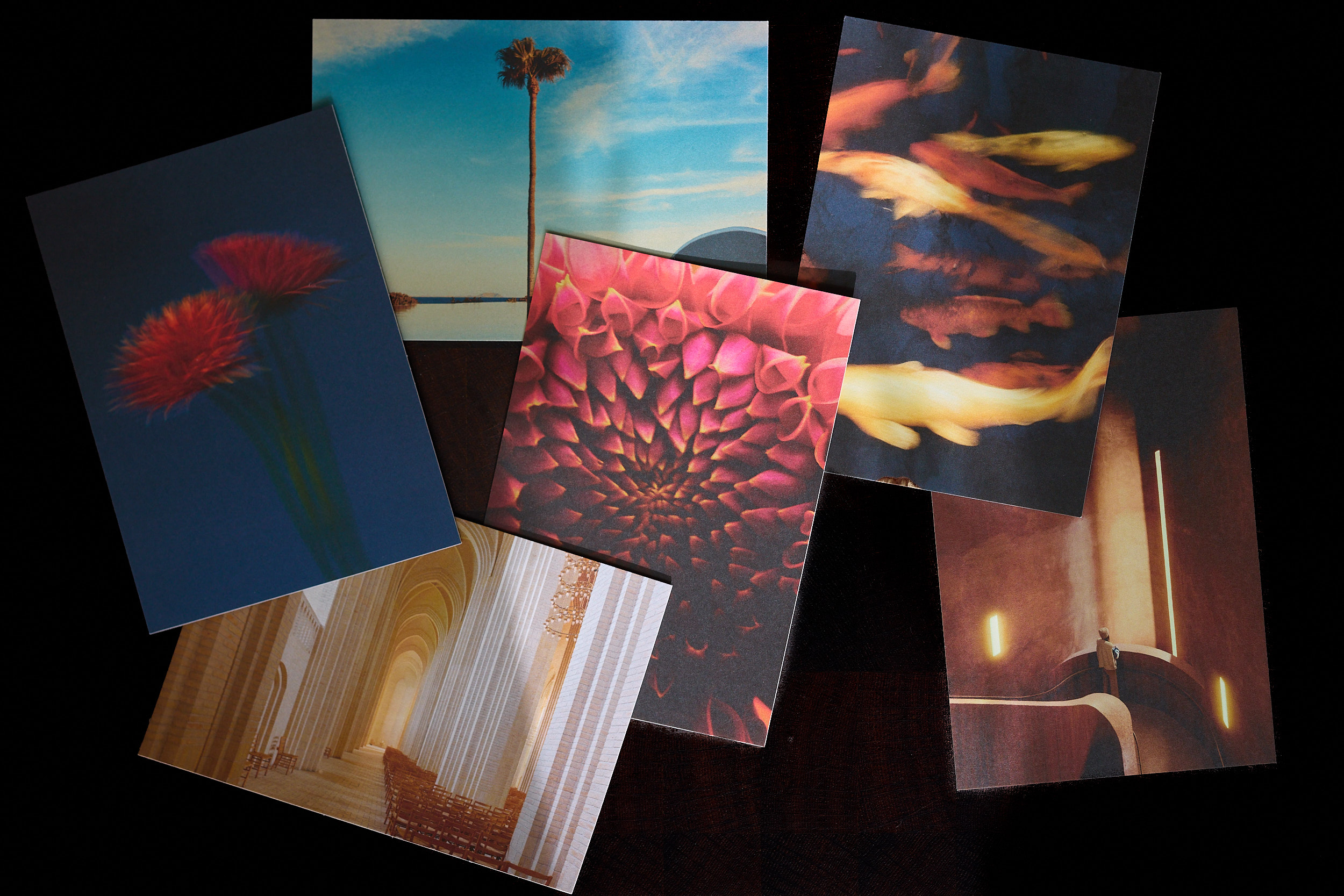 Postcard Bundle David Altrath
