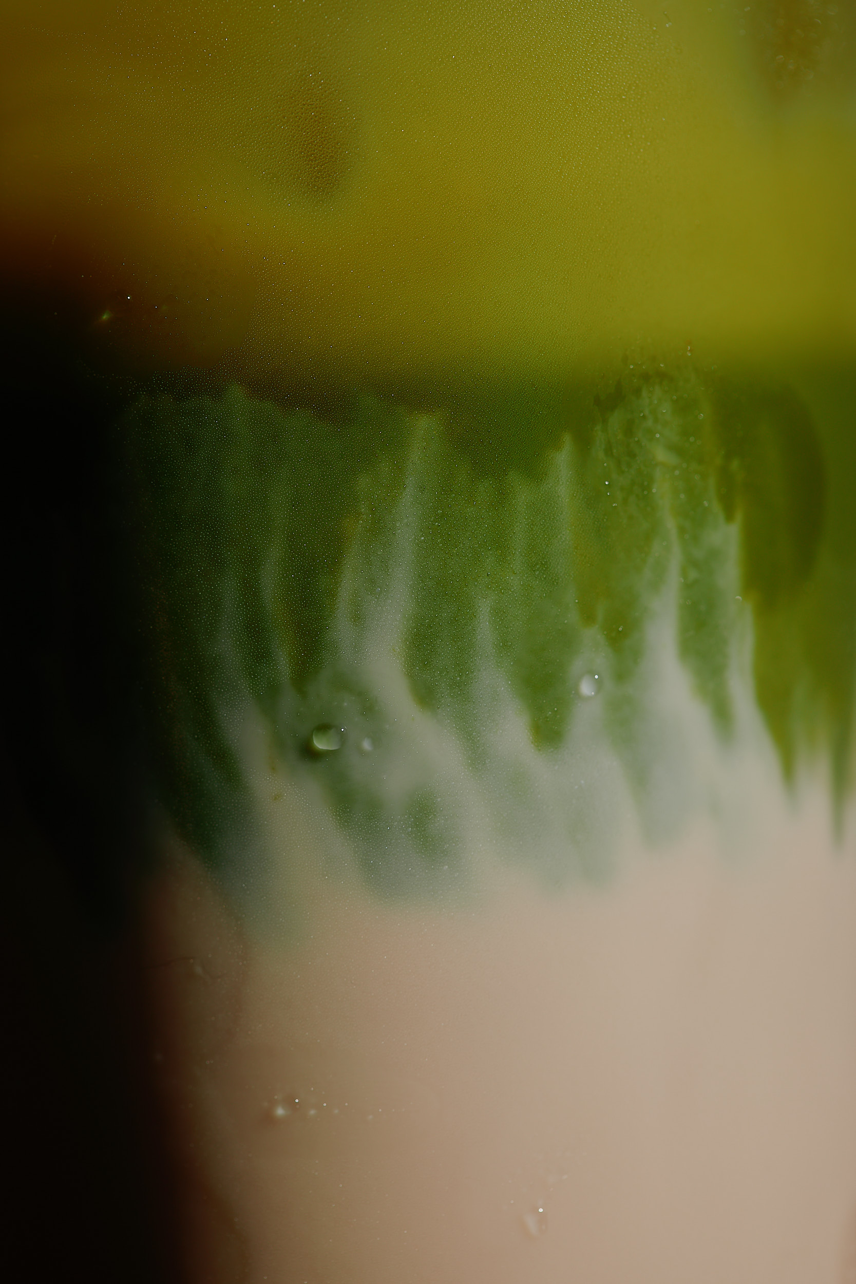 Gastronomy branding photography with natural and timeless look