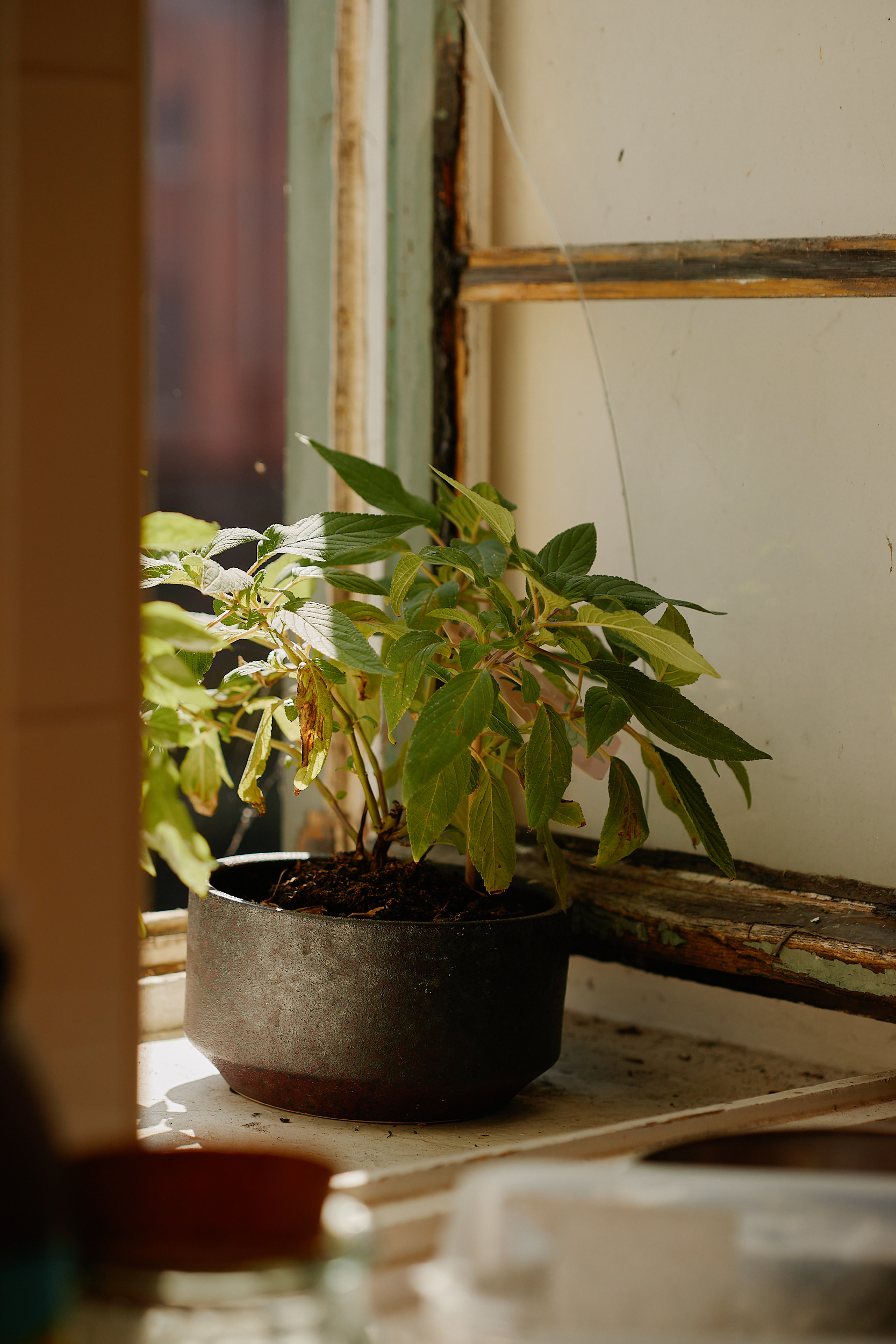 Hotel and interior photography with architectural clarity