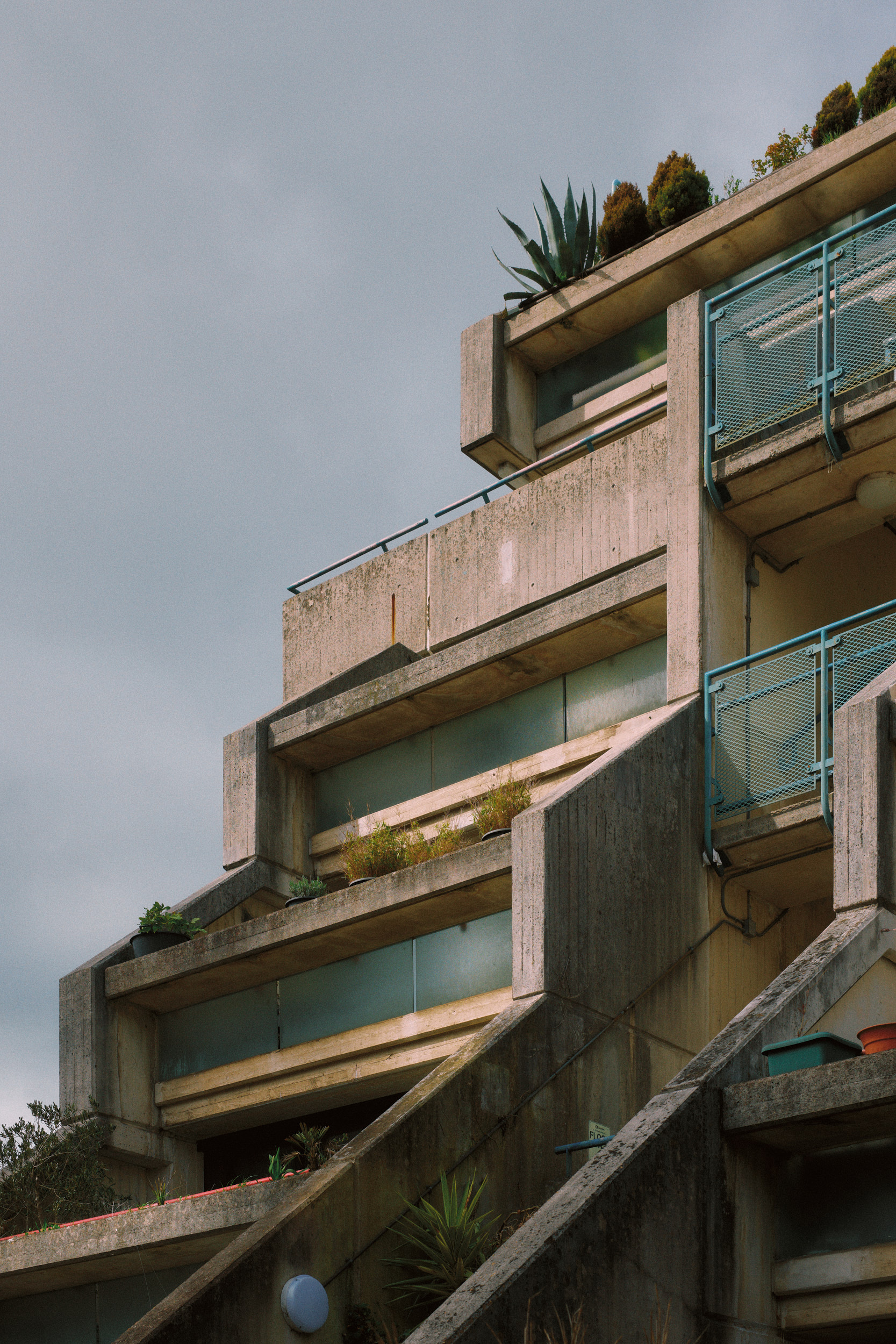 Geometrische Linien und Wege im Alexandra Road Park