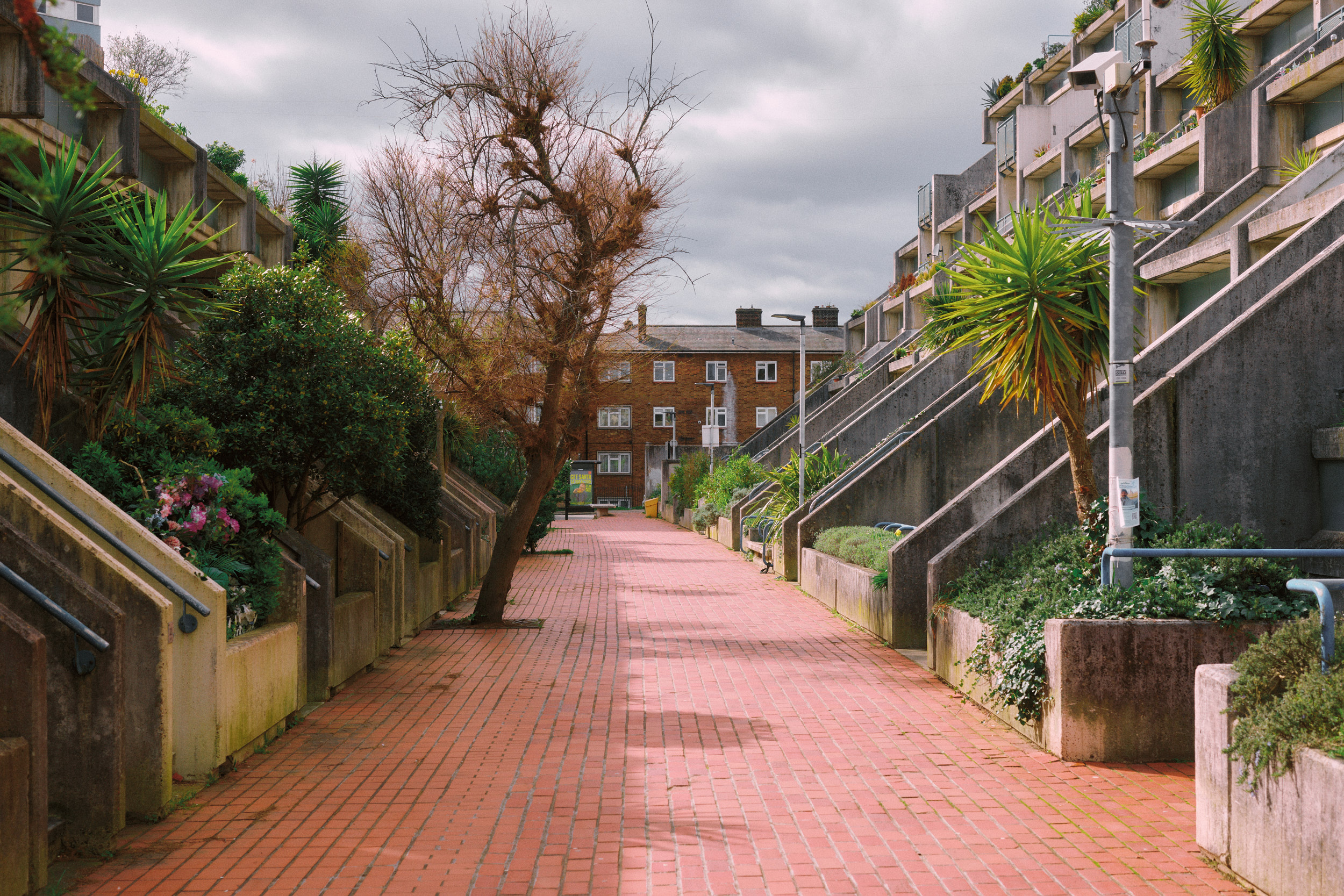Architekturaufnahme der Fassaden am Alexandra Road Park London