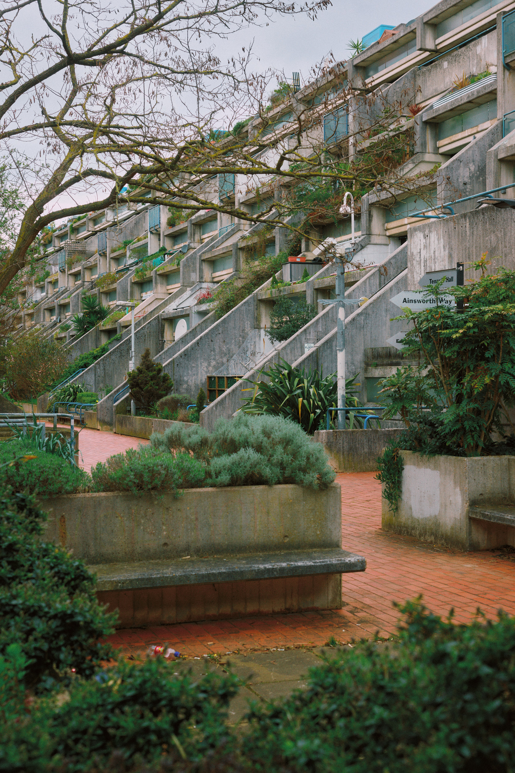 Offene Grünflächen und Wohnarchitektur am Alexandra Road Park