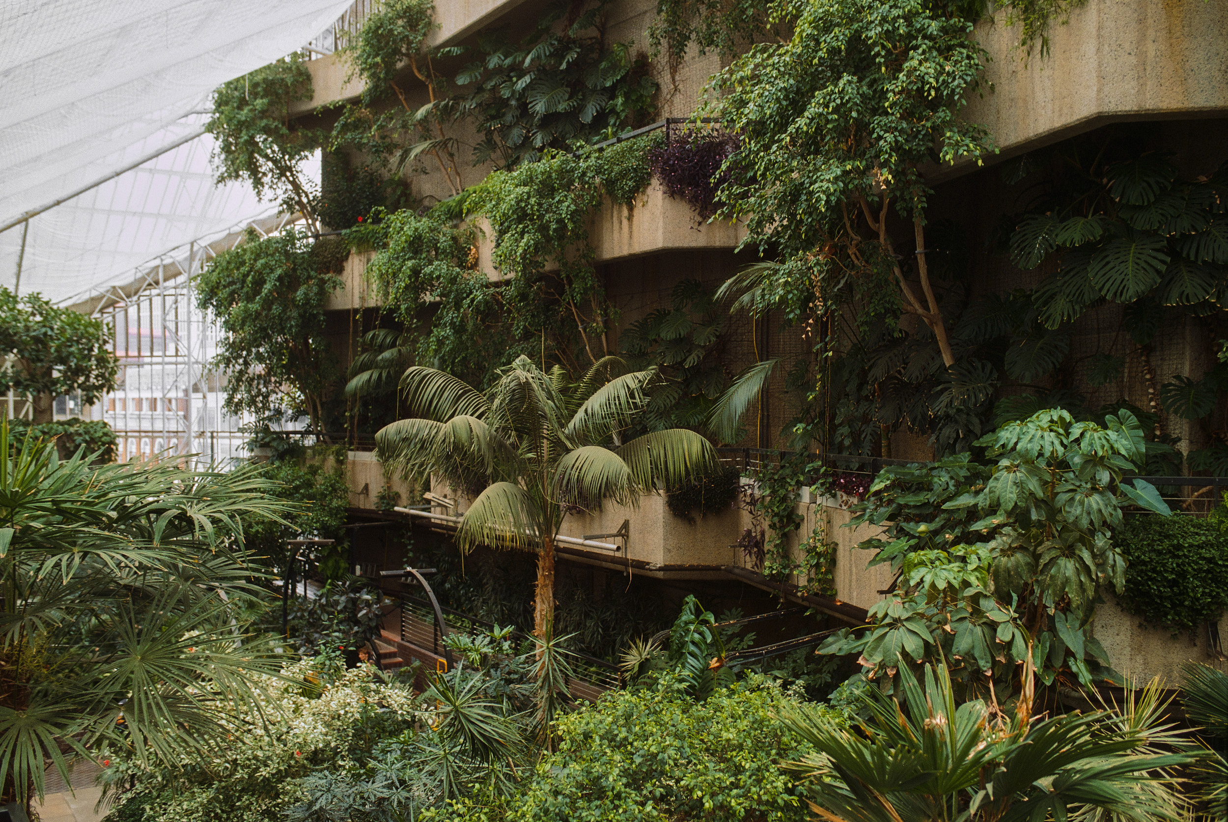 rchitekturfotografie des Barbican Conservatory in London mit tropischer Vegetation im Brutalismus
