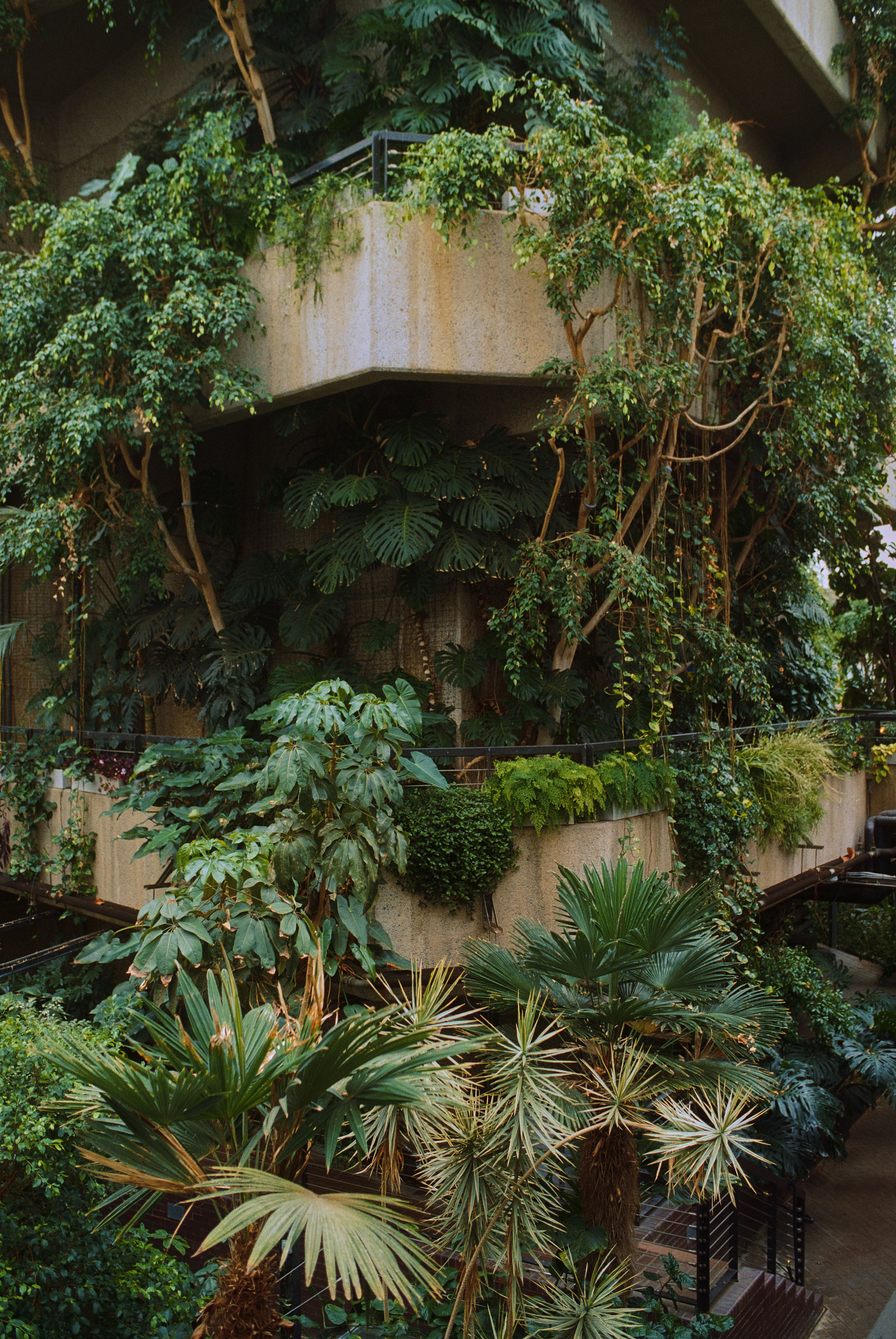 Architekturfotografie London – Barbican Conservatory Innenraum
