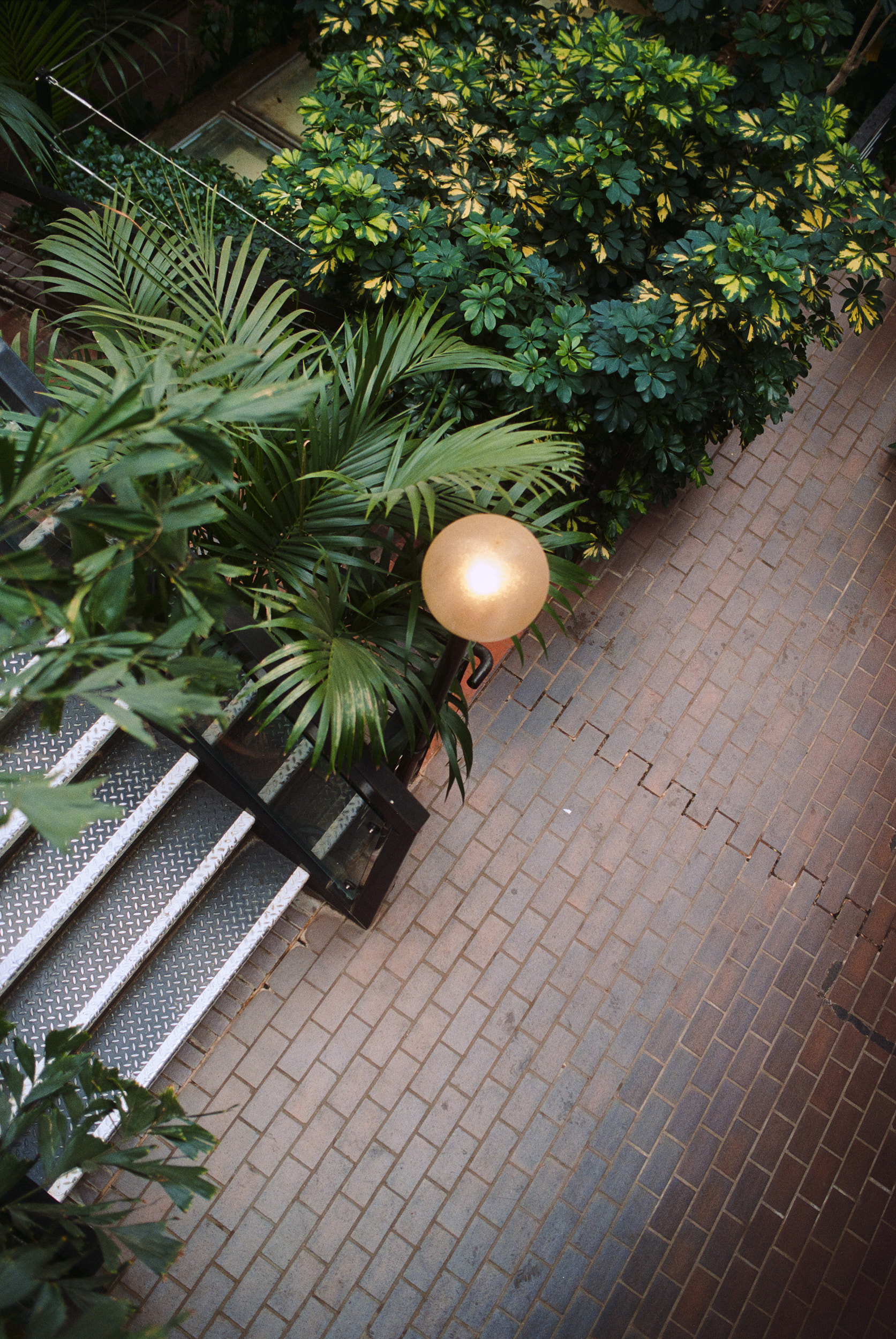 Interior Fotograf im Barbican Conservatory mit Fokus auf Licht und Material