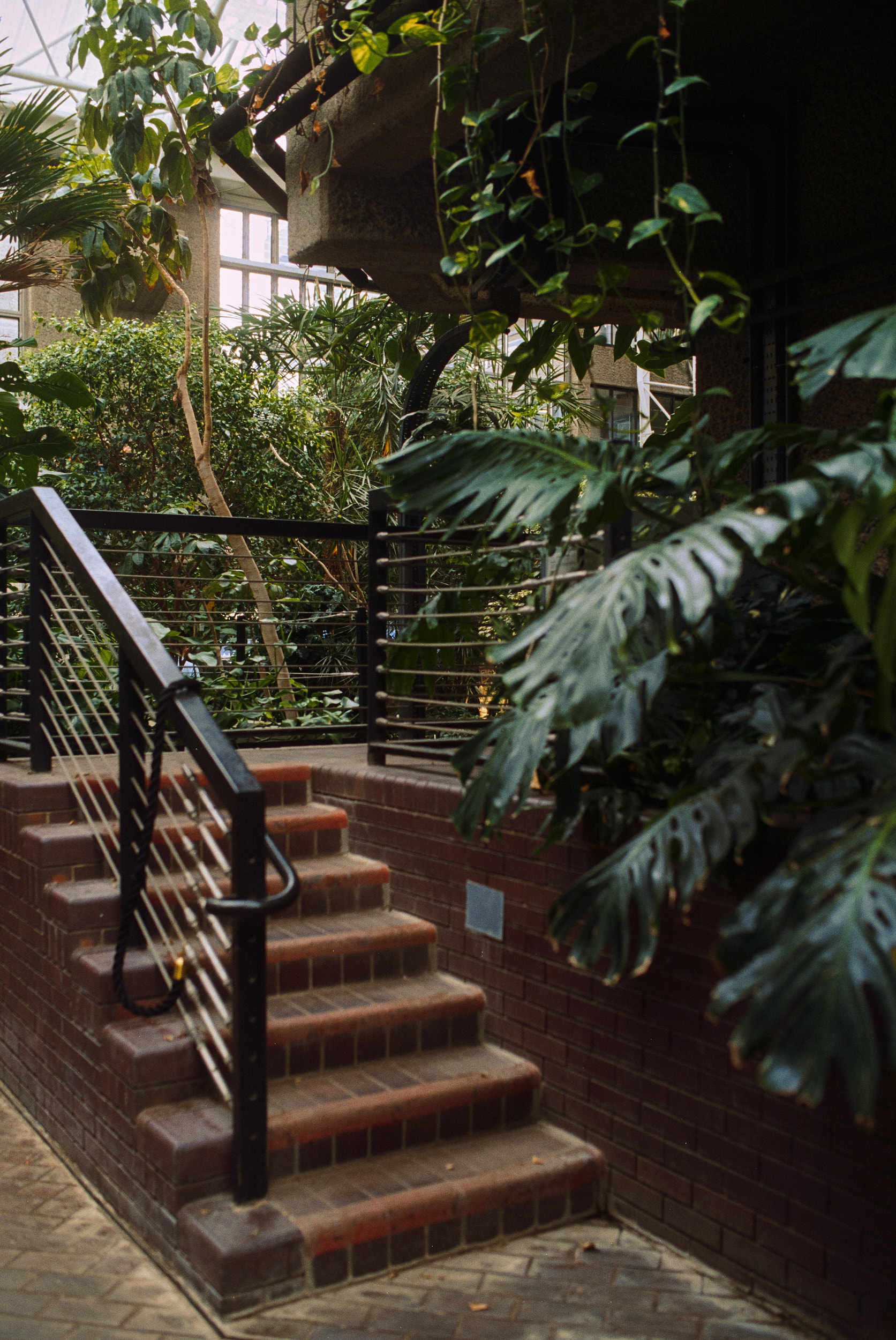 Innenraumaufnahme des Barbican Conservatory in London mit Glasdach