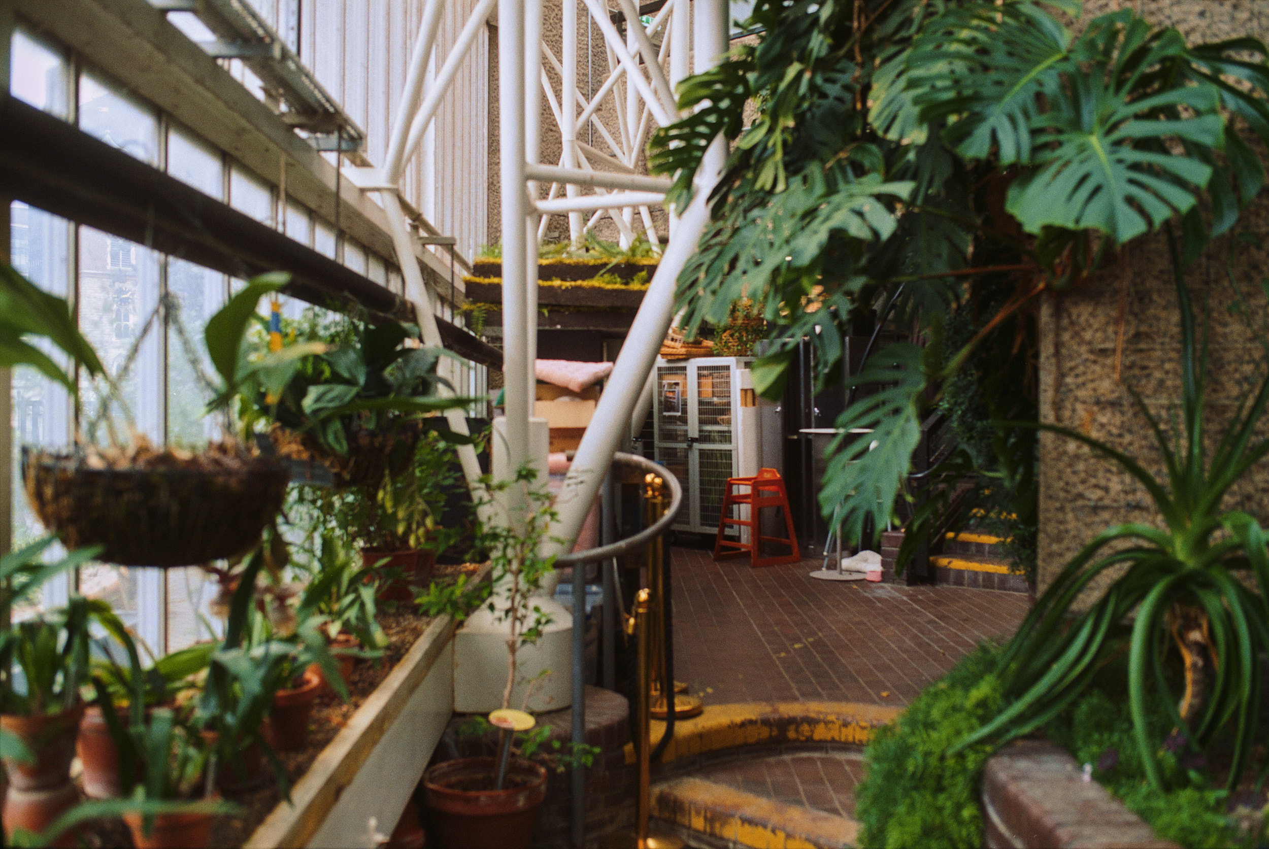 Innenarchitektur im Barbican Conservatory London fotografiert