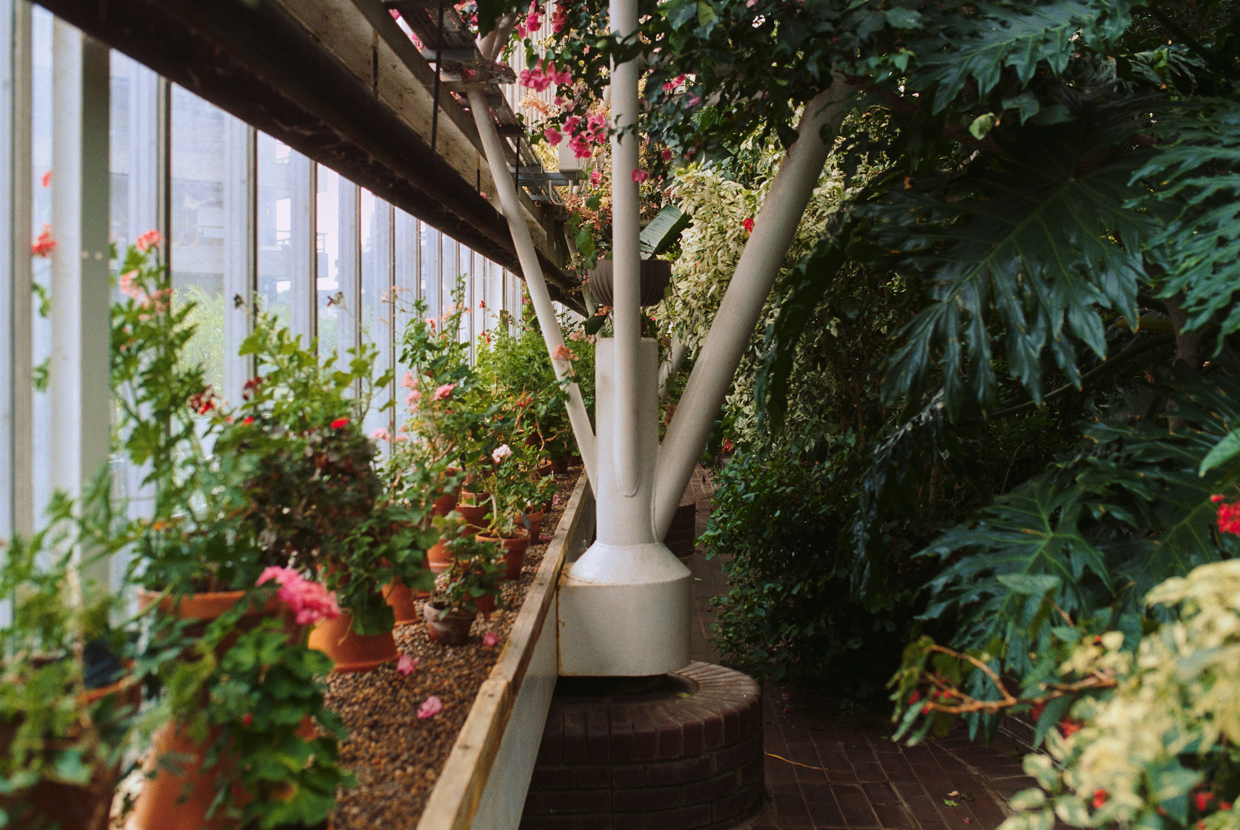 Concrete structure and vegetation at Barbican Conservatory