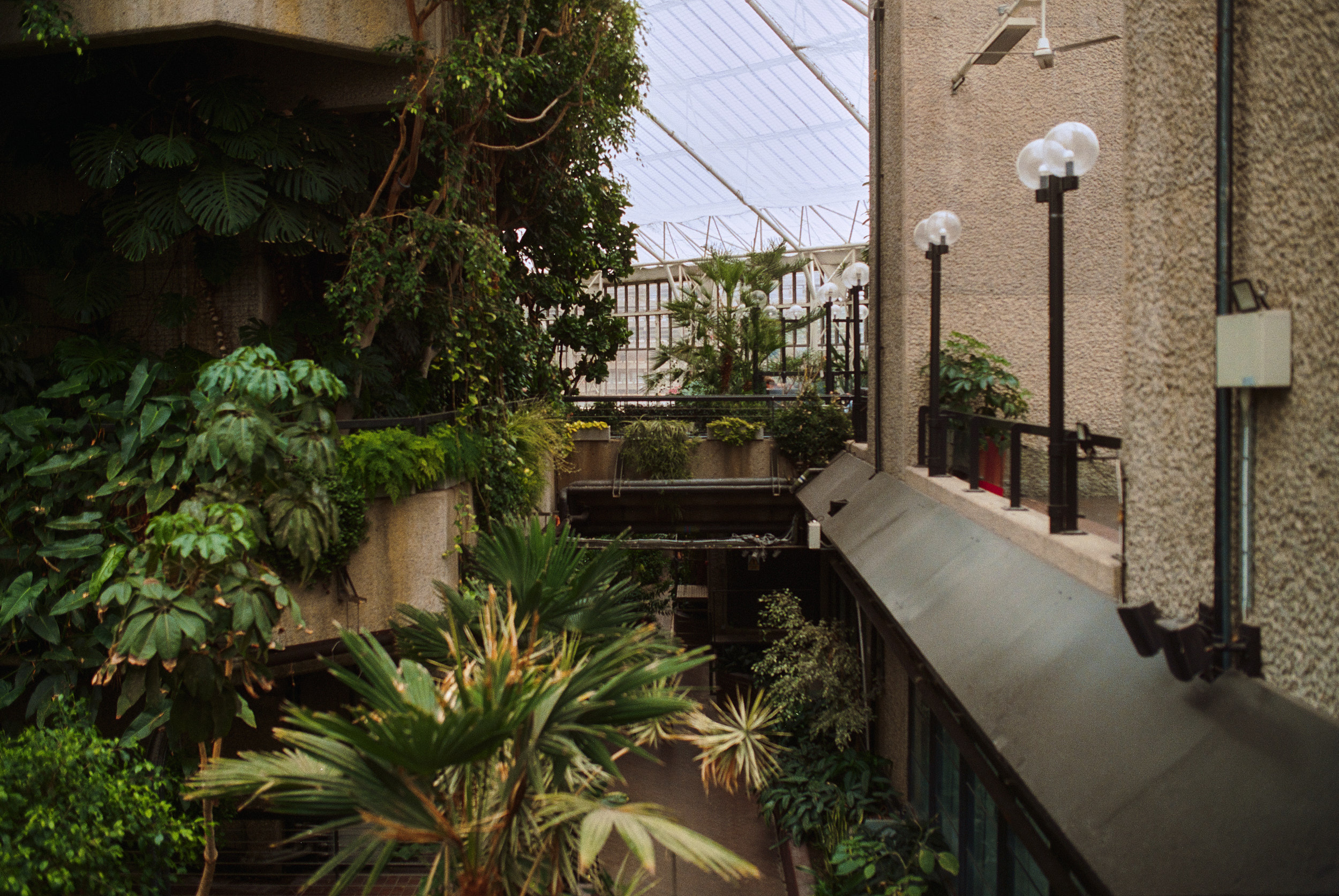 Sichtbeton und Palmen im Barbican Conservatory London