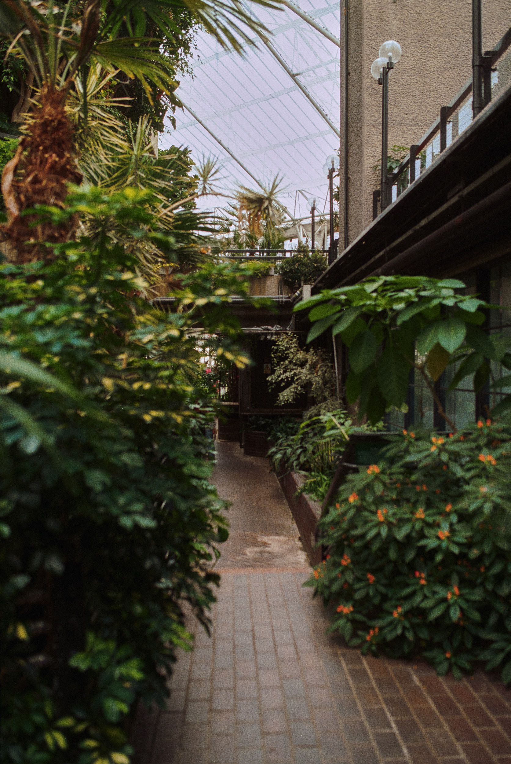 Architekturfotograf Hamburg – Barbican Conservatory Projekt in London