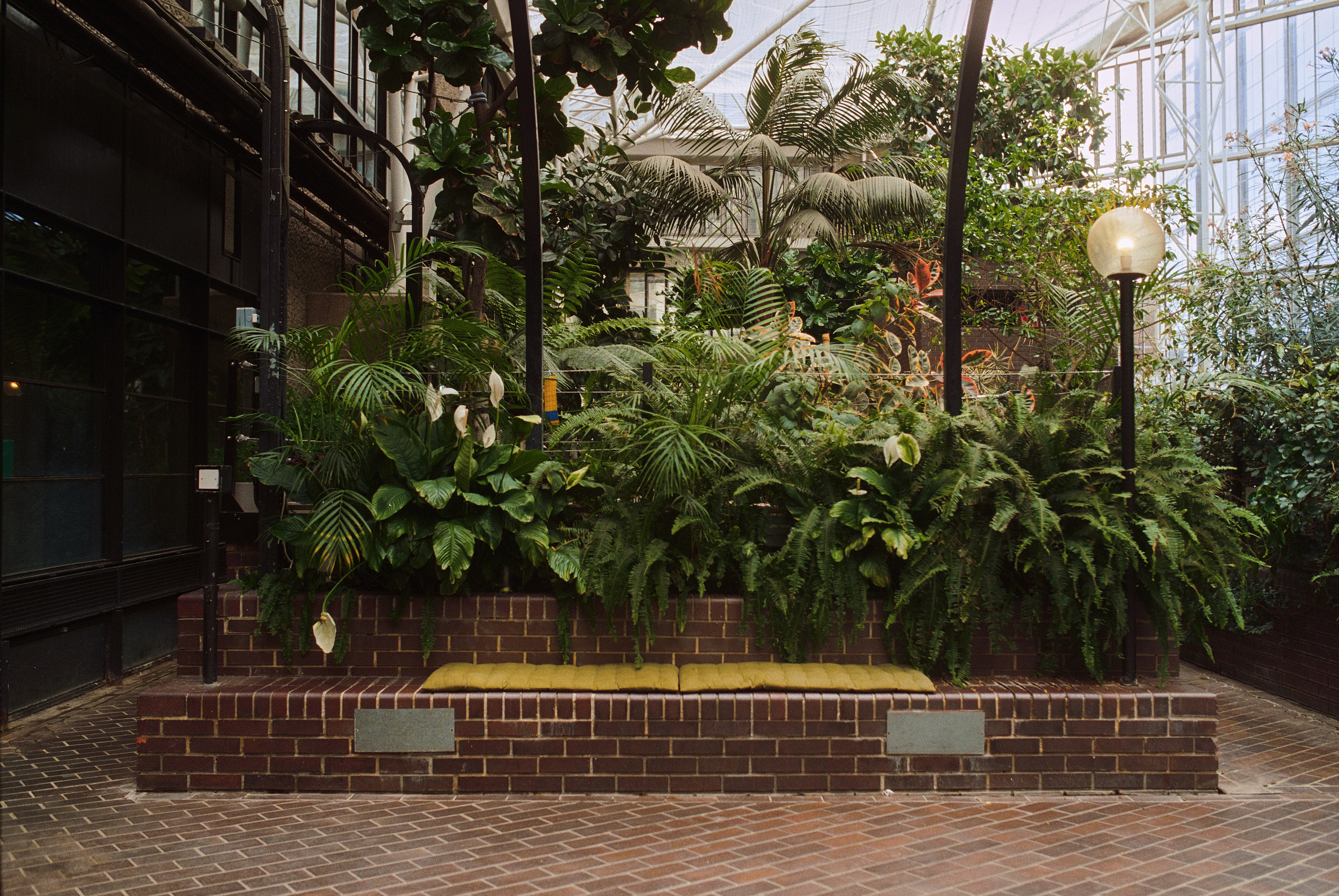 Architekturfotografie mit Fokus auf Raumstruktur im Barbican Conservatory