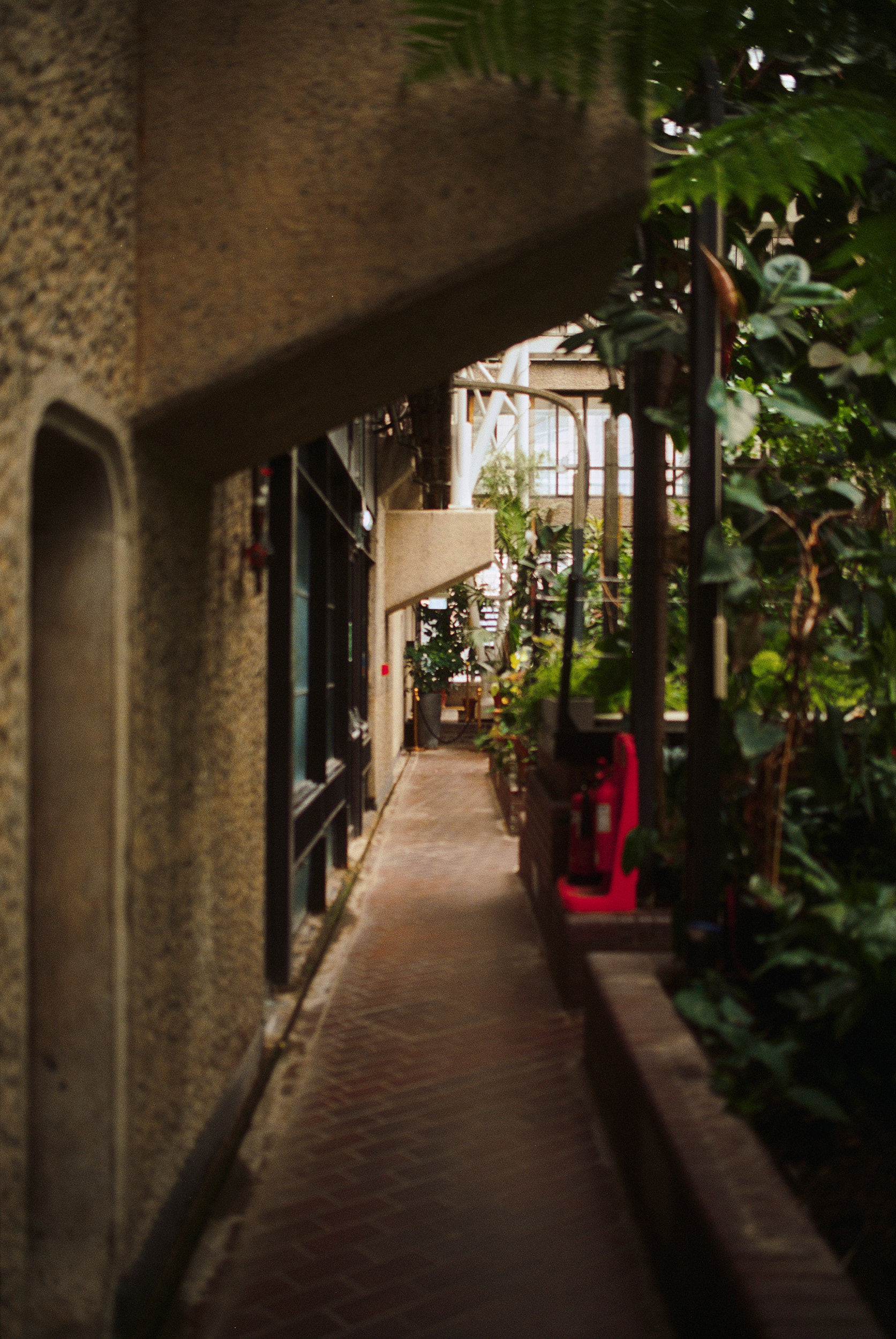 Concrete edge and shadow detail Barbican Conservatory