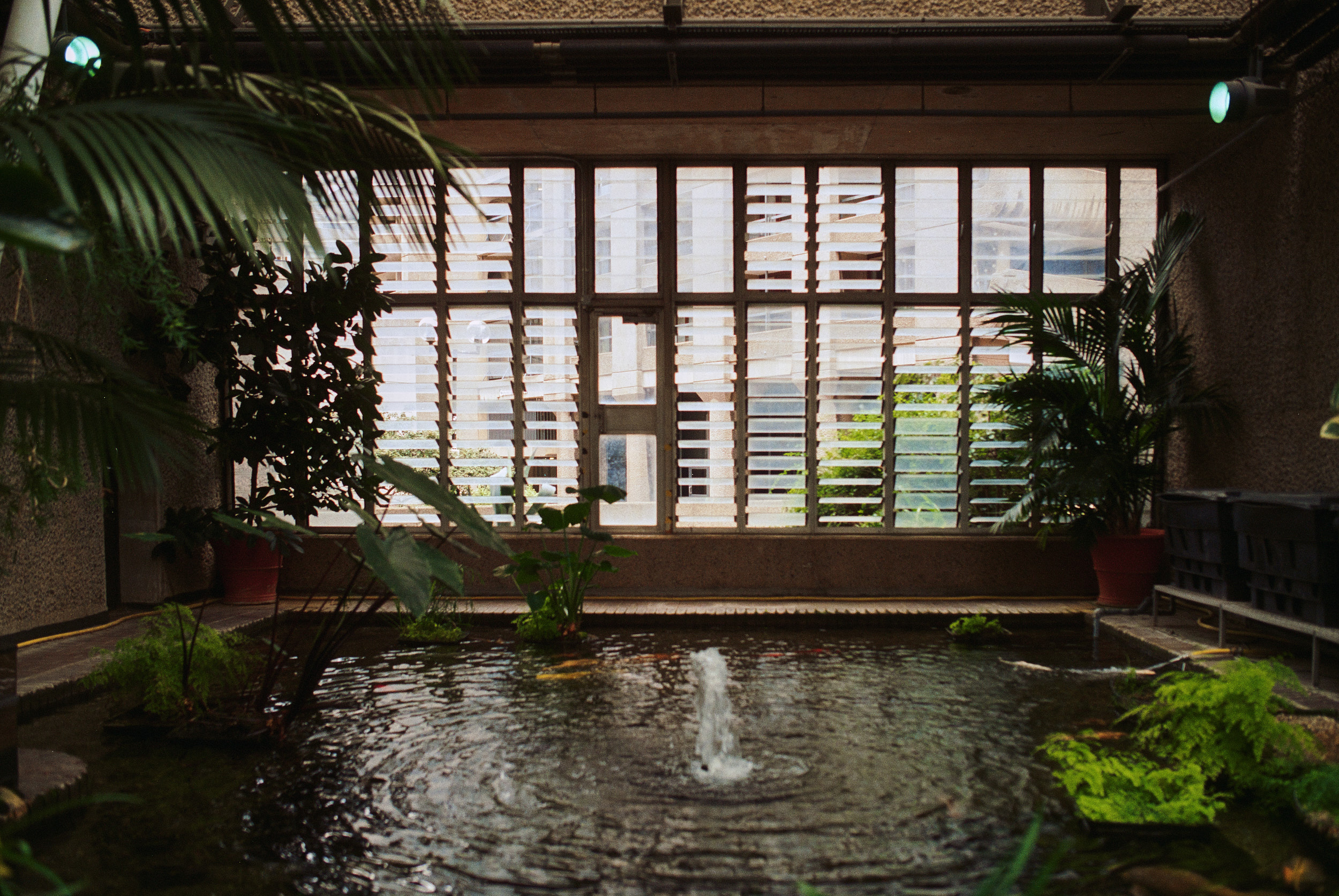 Interior Fotografie London – Barbican Conservatory Raumwirkung
