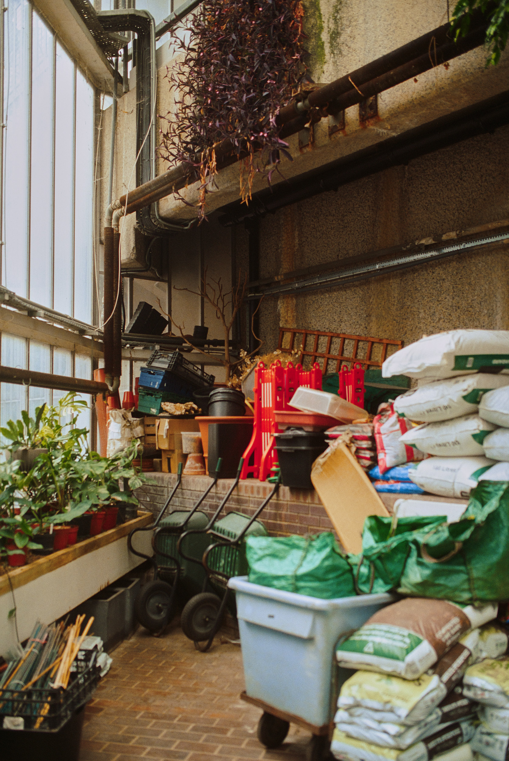 Architekturfotograf dokumentiert Brutalismus im Barbican Conservatory
