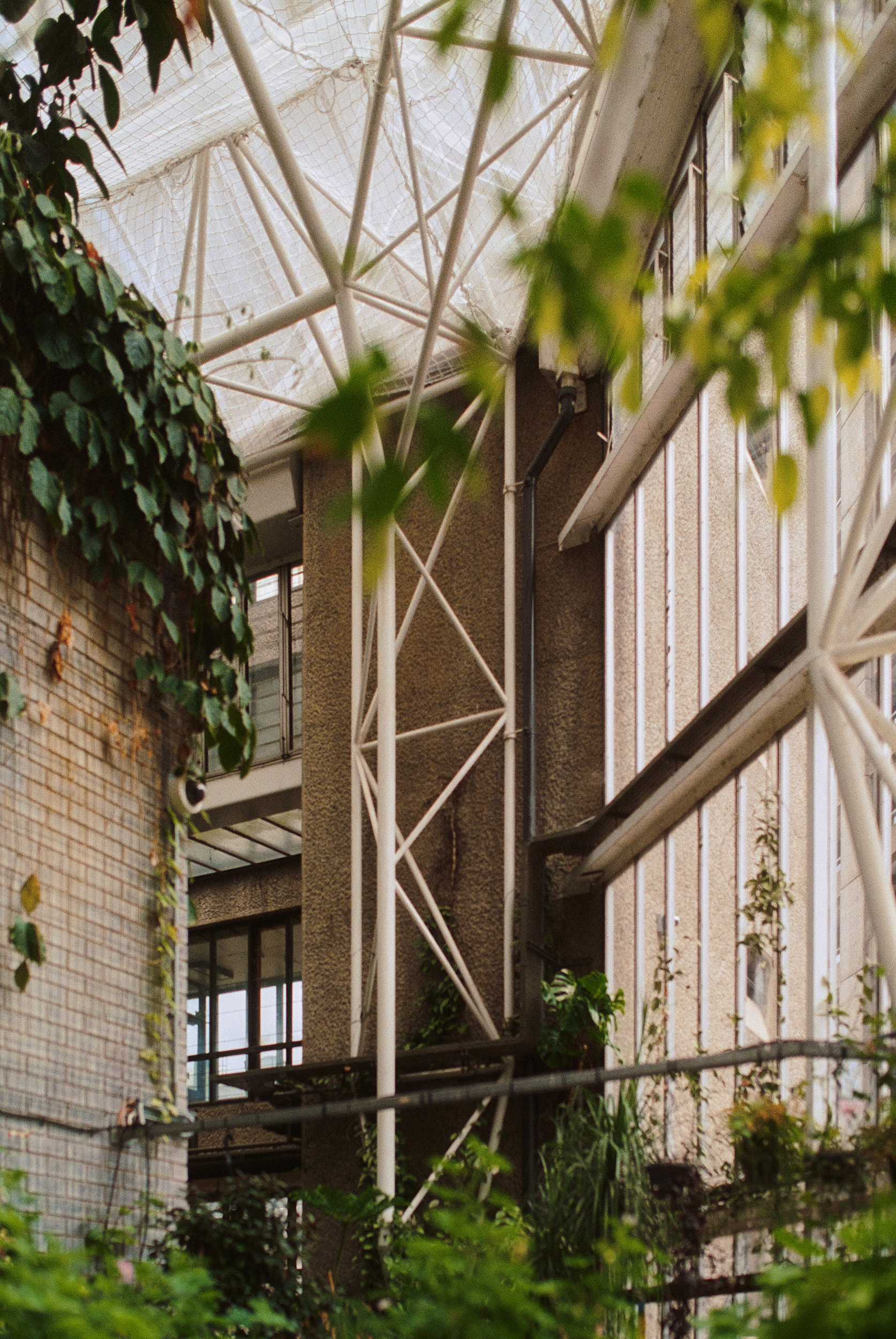Barbican Conservatory interior architectural detail