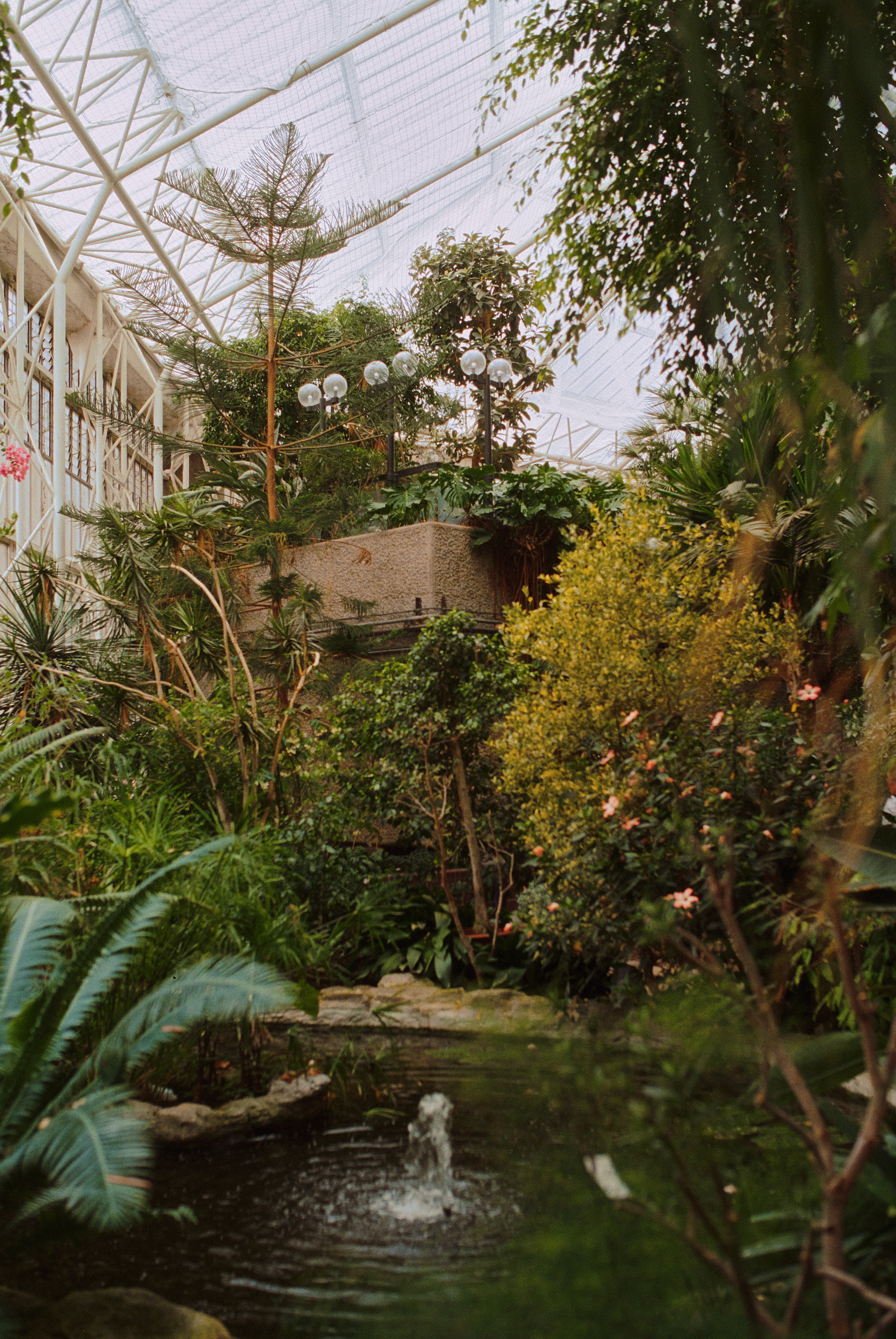 Tropisches Gewächshaus im Barbican Centre London