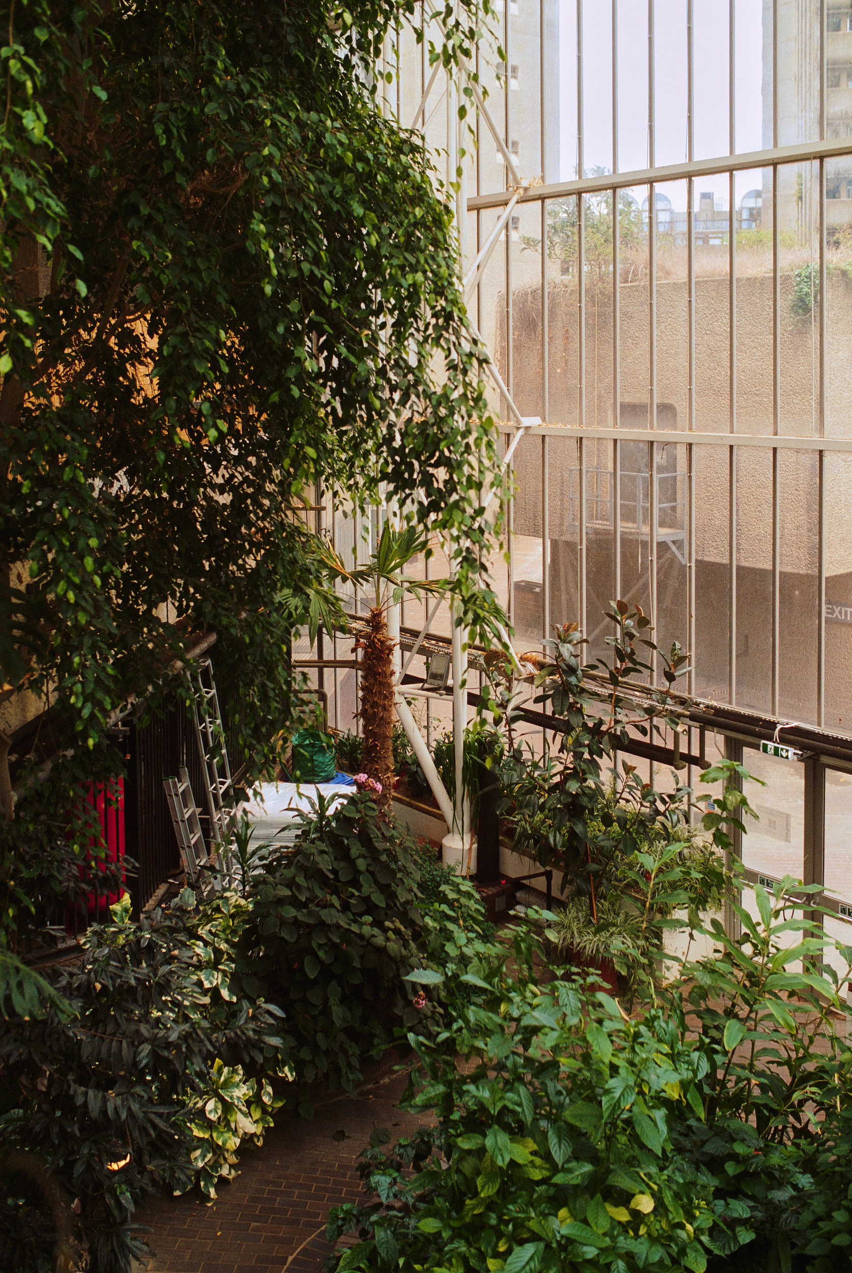 Glass and steel connection detail Barbican Conservatory