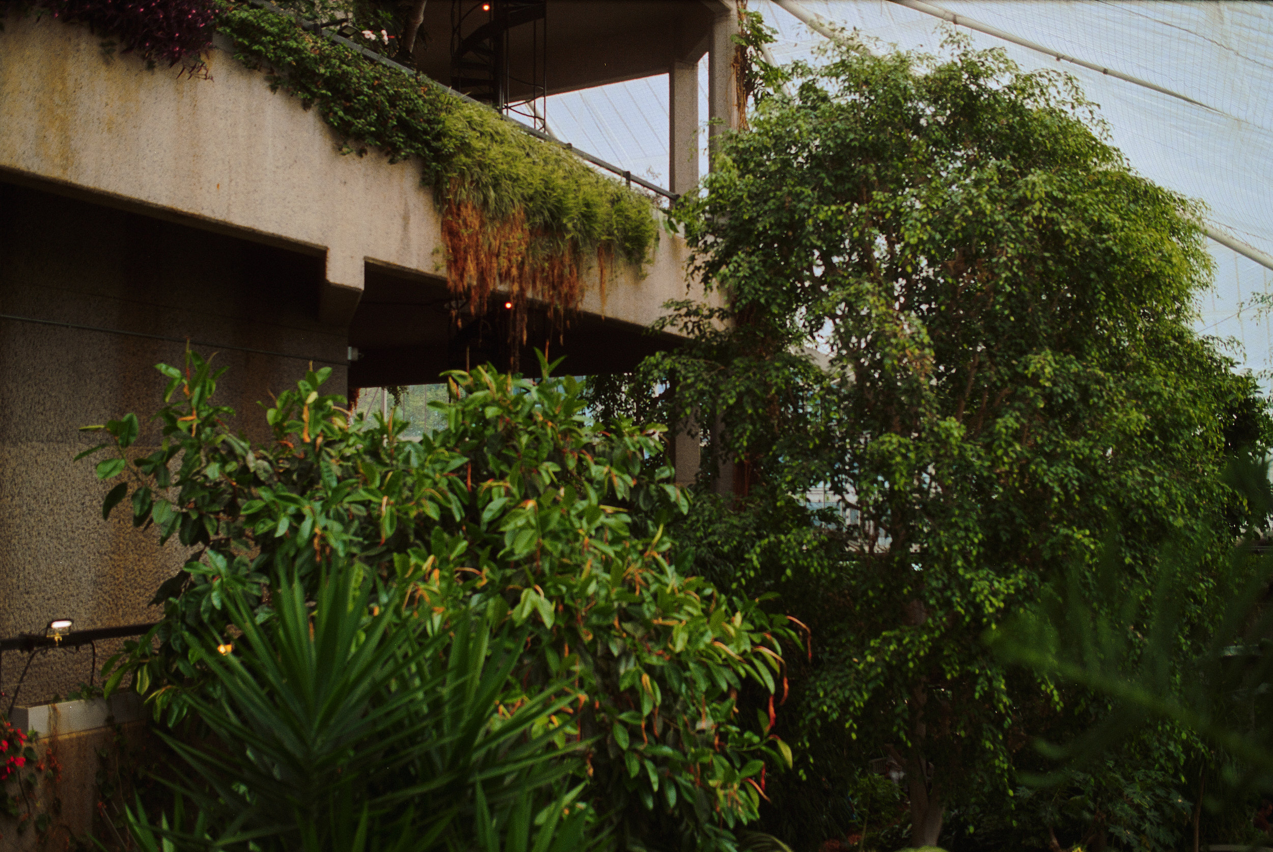Concrete and shadow detail London