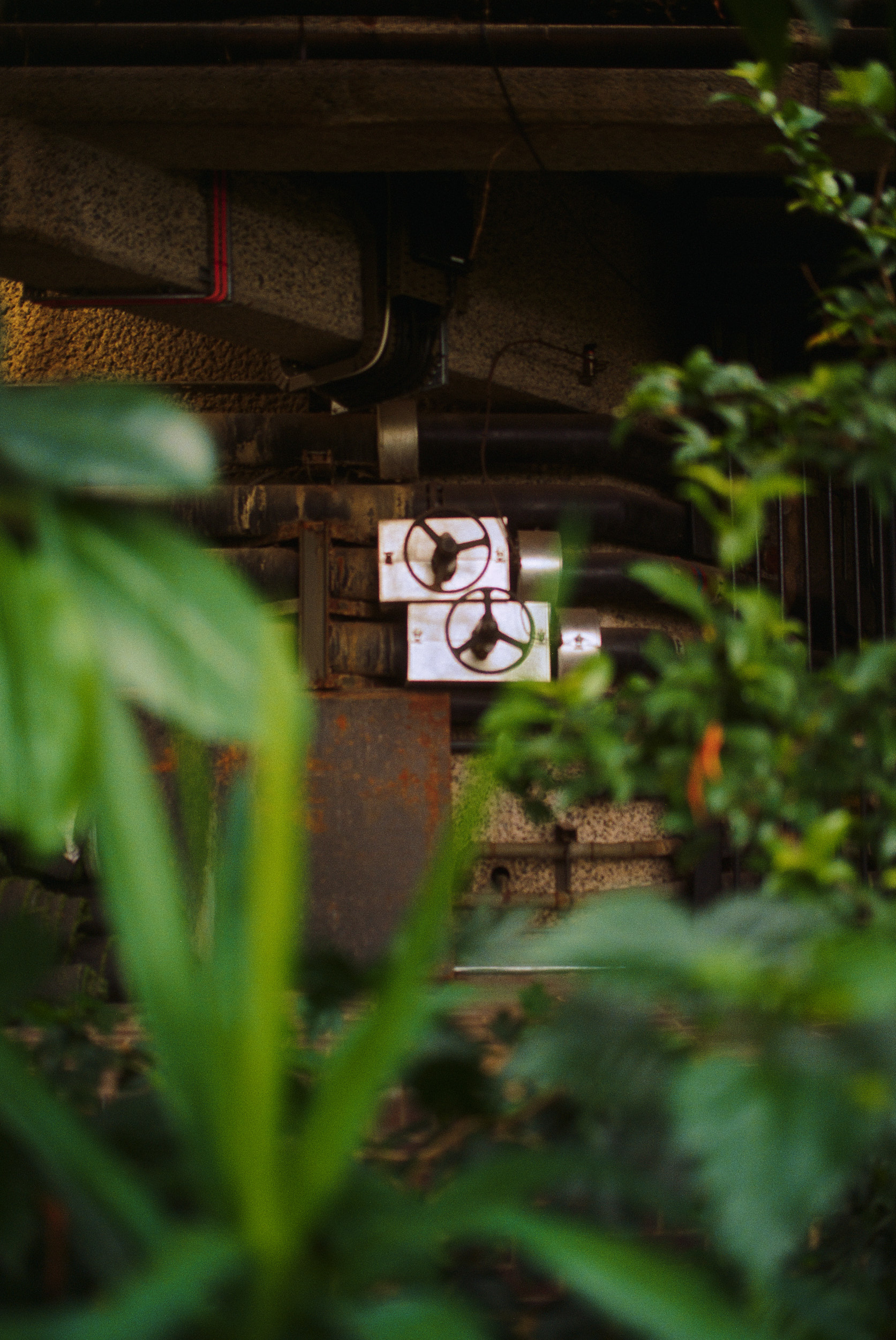 Glass, steel and concrete structure in London