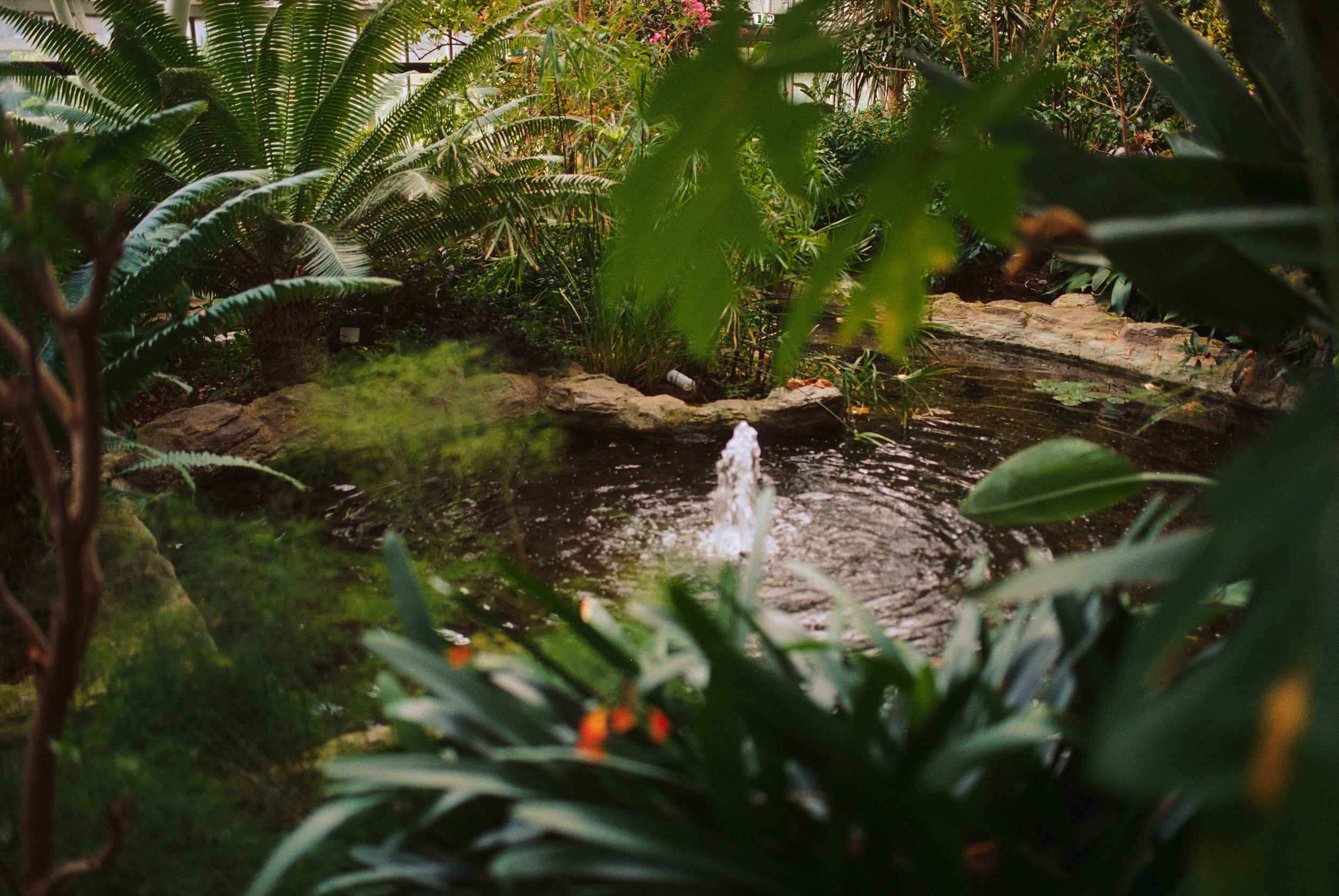 Tropical interior within brutalist architecture in London