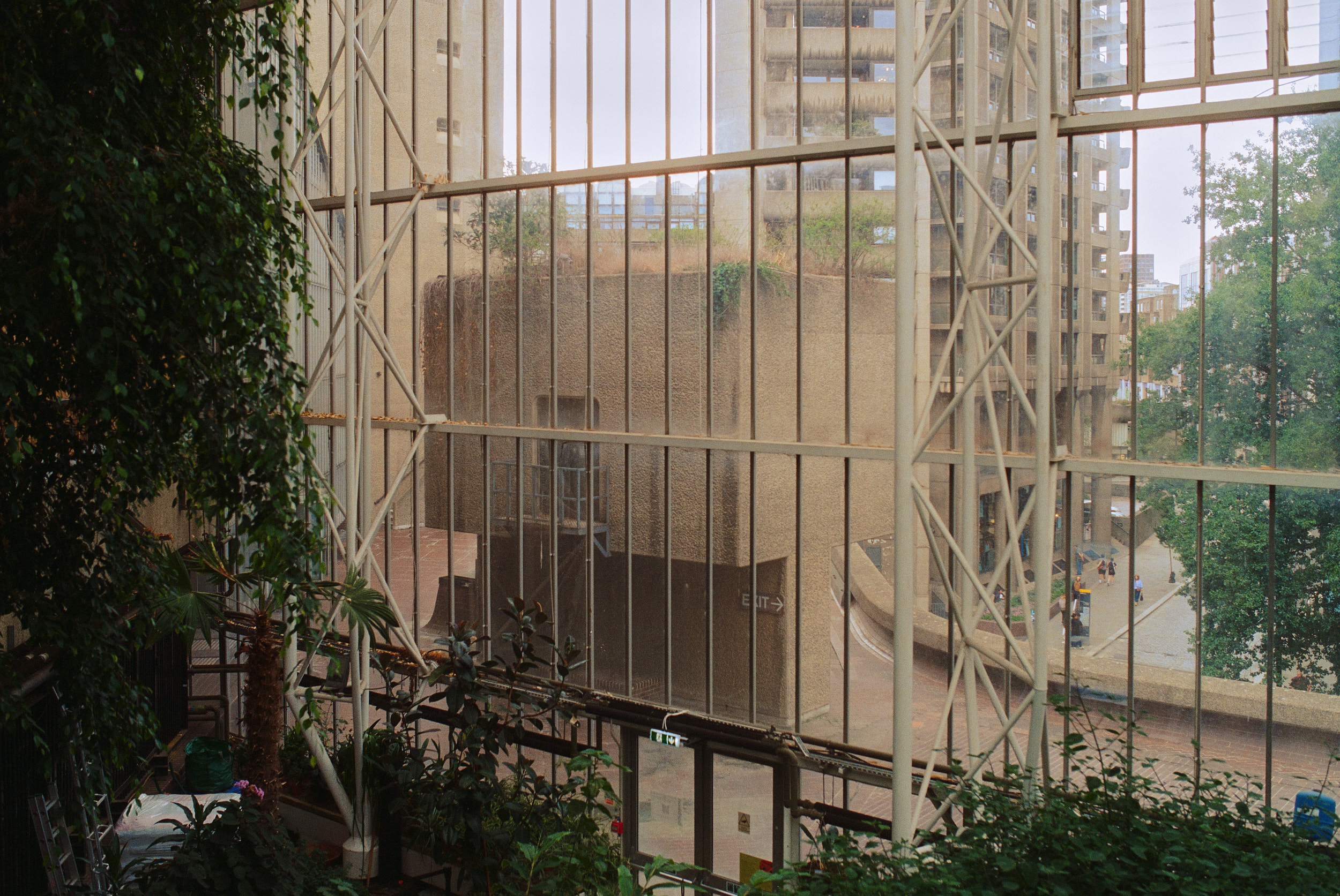 Architekturfotograf Hamburg dokumentiert das Barbican Conservatory in London