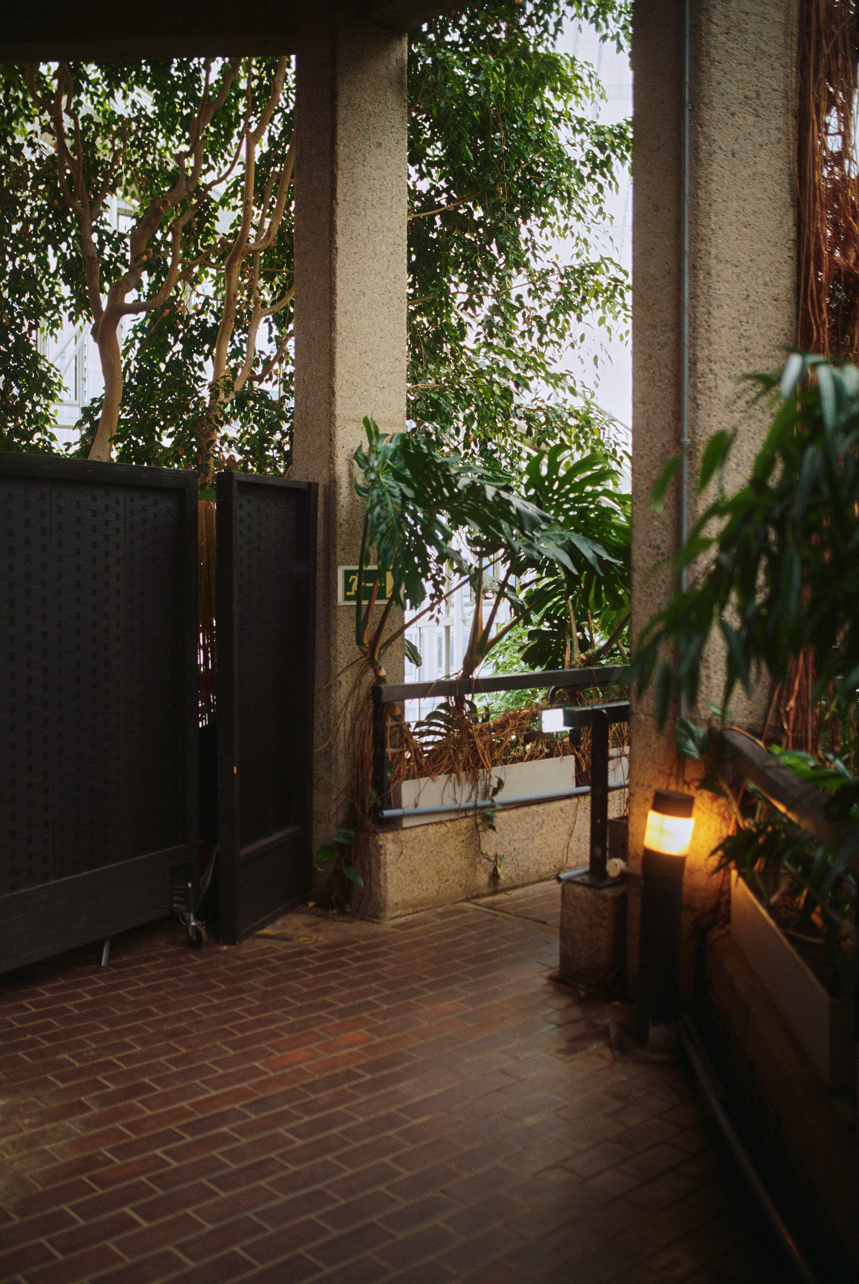 Steel joint detail within Barbican Conservatory structure