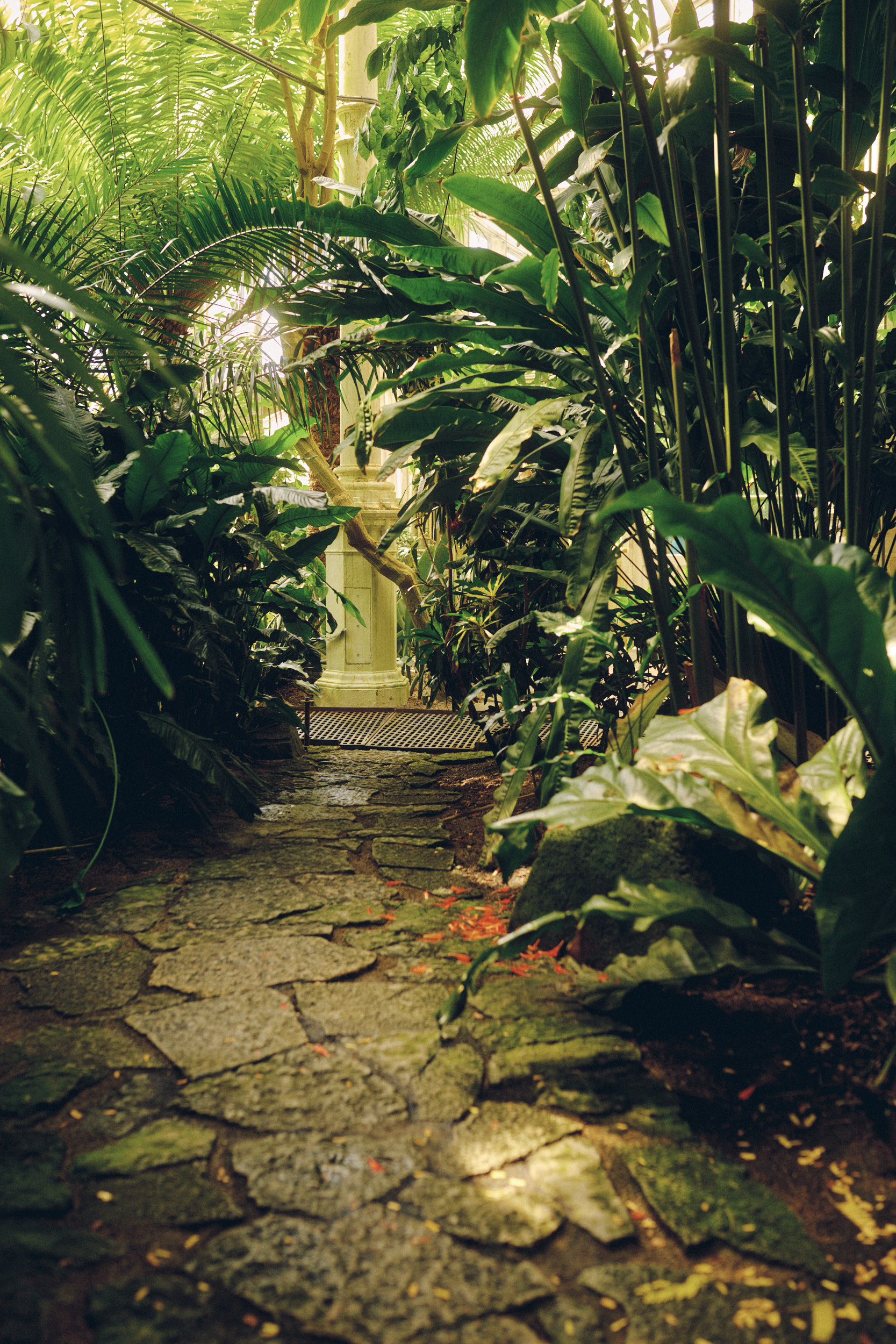 Historic Palm House at Copenhagen Botanical Garden seen from below