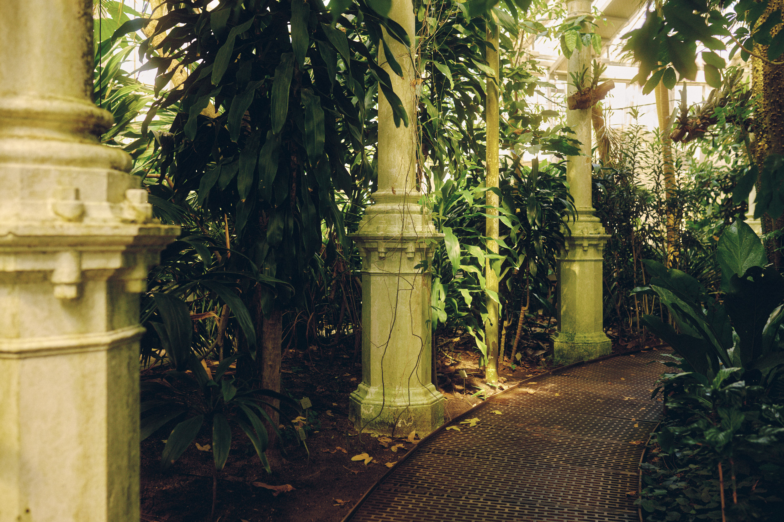 Glas, Stahl und Vegetation im Botanischen Garten Kopenhagen