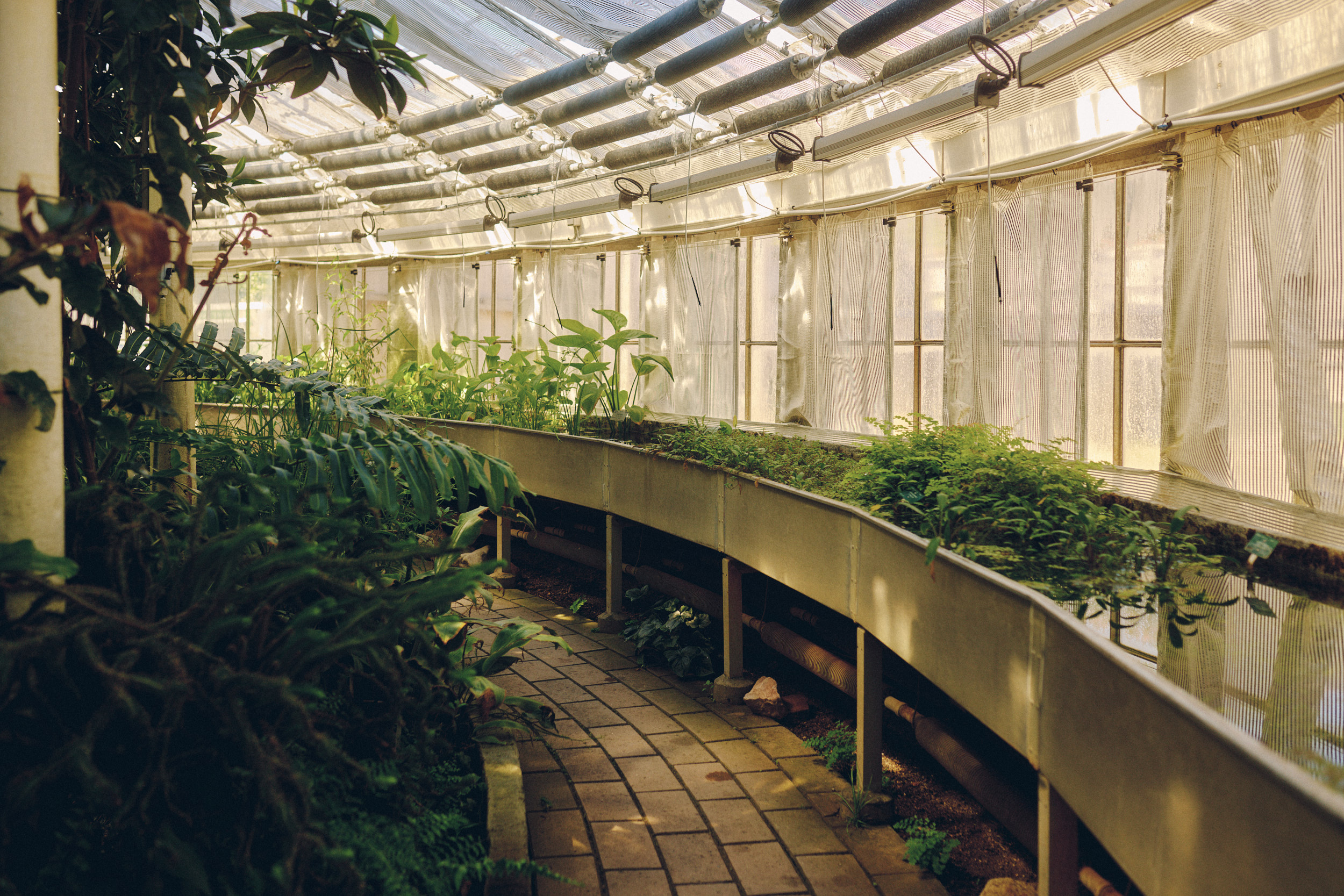 Architekturfotografie im Botanischen Garten Copenhagen with tropical greenhouse interior
