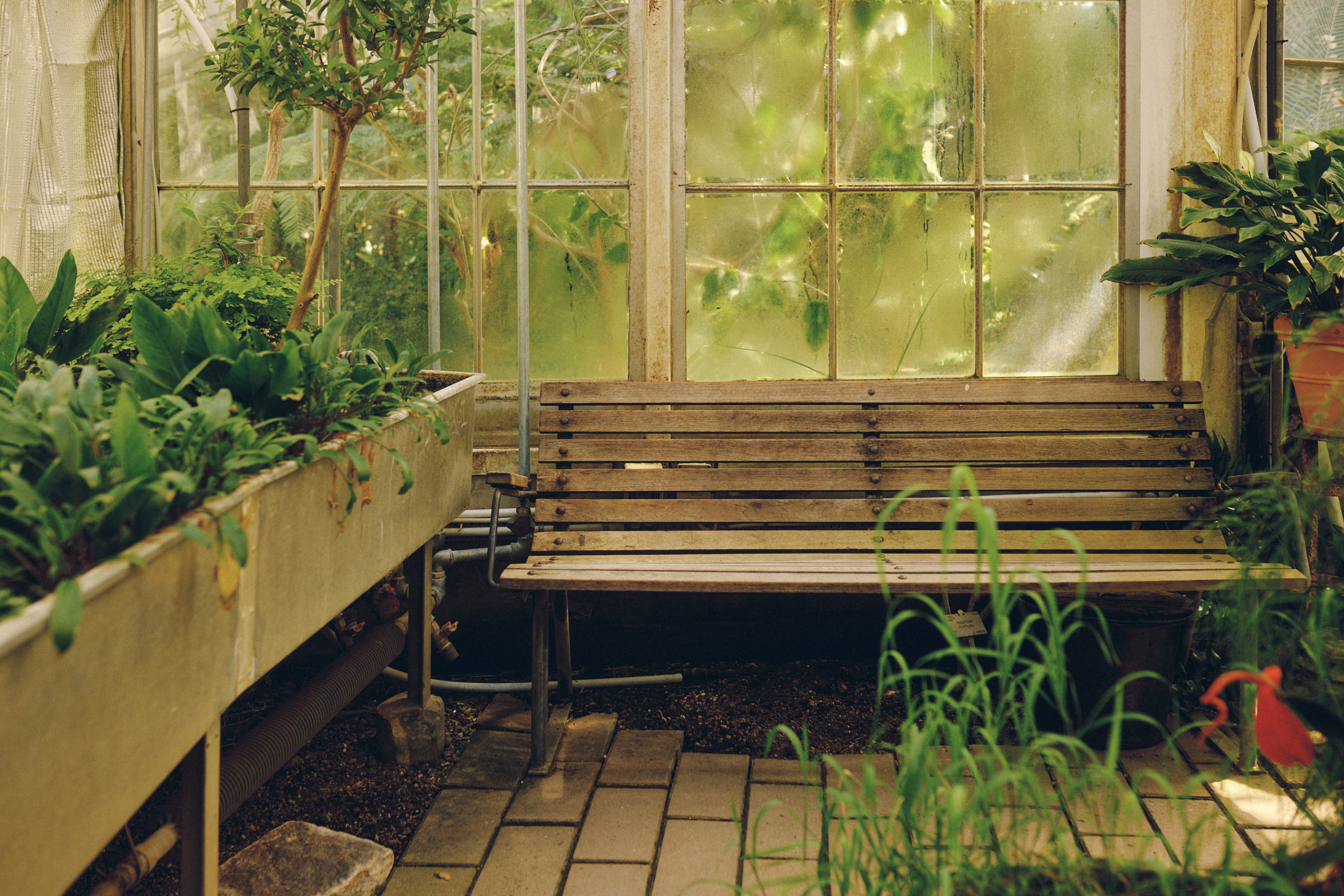 Historische Gewächshausarchitektur im Botanischen Garten Kopenhagen